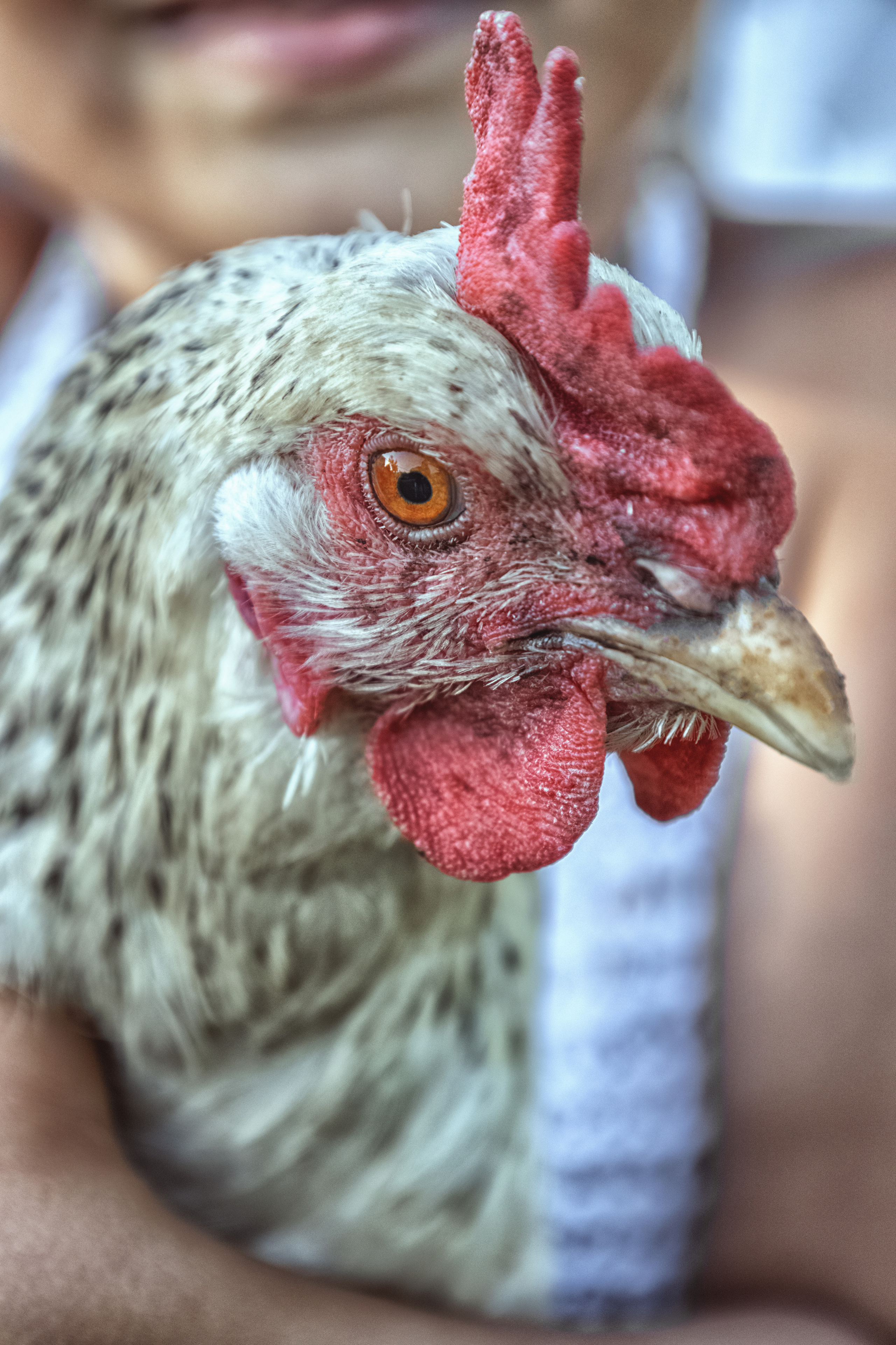 Сказочная фотография. Семейный детский фотограф Краснодарский край Оксана Колос