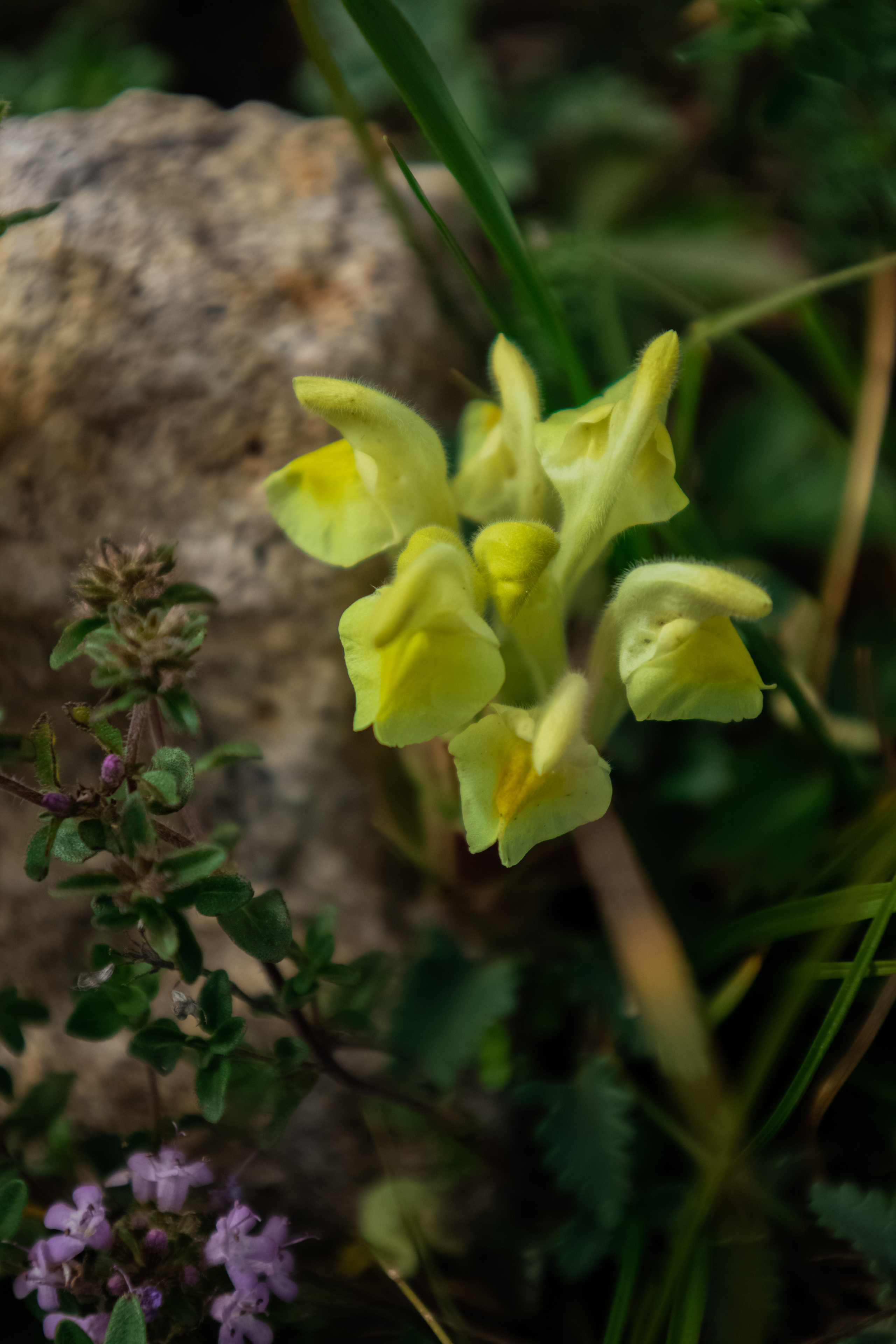 Красота Кабардино-Балкарии. Семейный детский фотограф Краснодарский край Оксана Колос