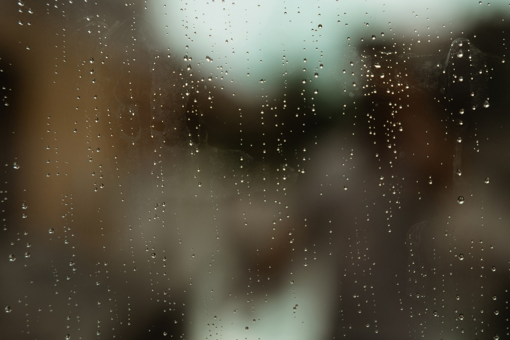 Яна &  Дмитрий. Свадебный фотограф в Москве и Санкт-Петербурге Анастасия Мирославская