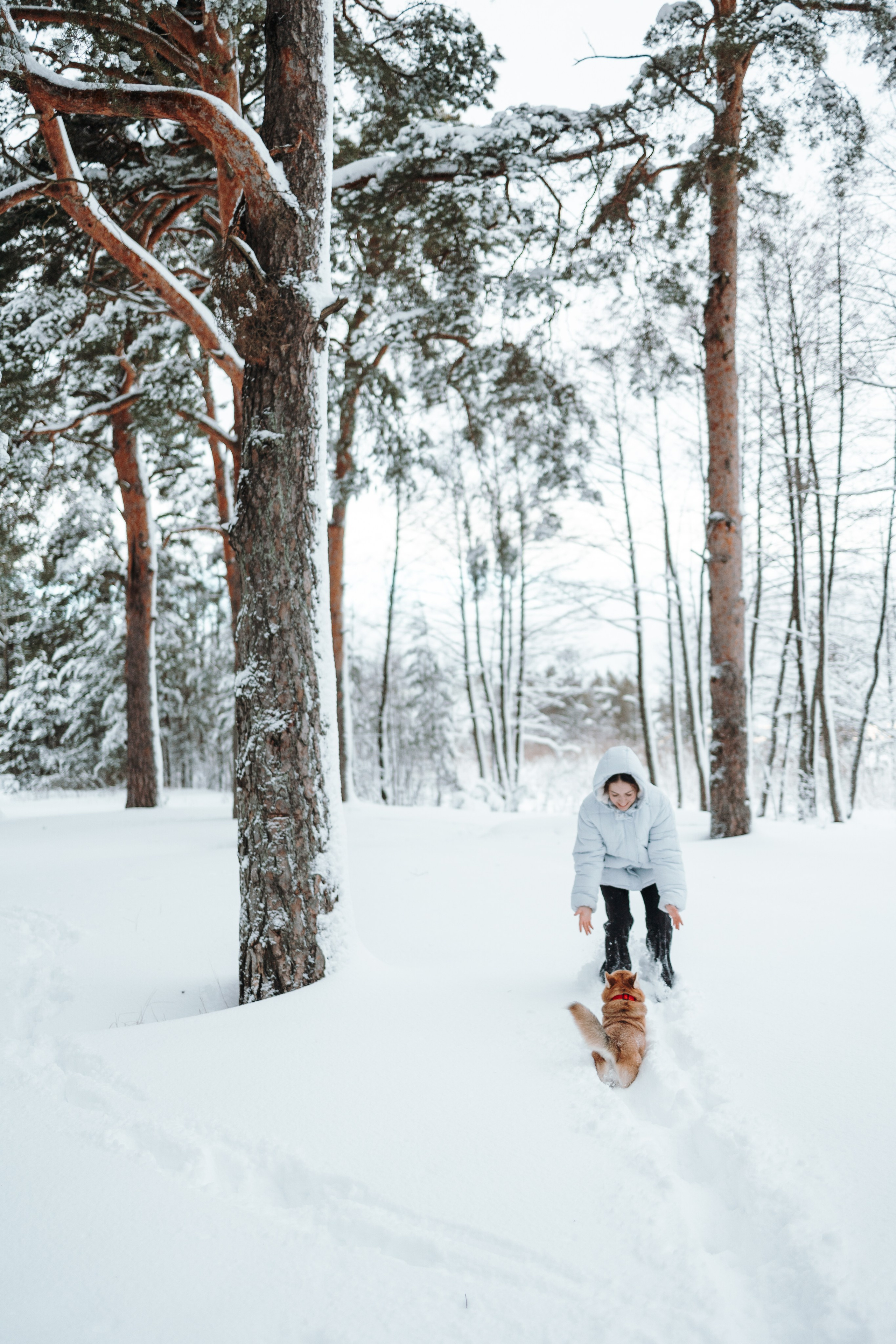 Оливка и ее семья. Фотограф — Анималист | Санкт-Петербург