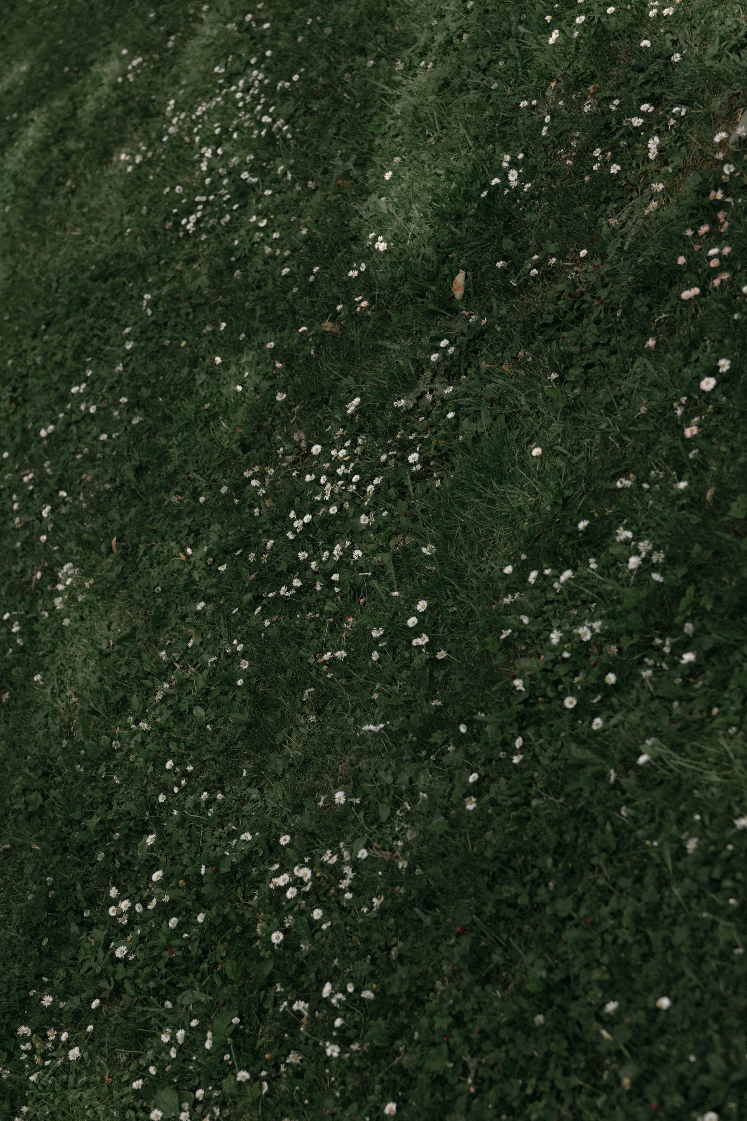 Ю & Н Усадьба Остафьево. Женский и свадебный фотограф Москва Елизавета Перова