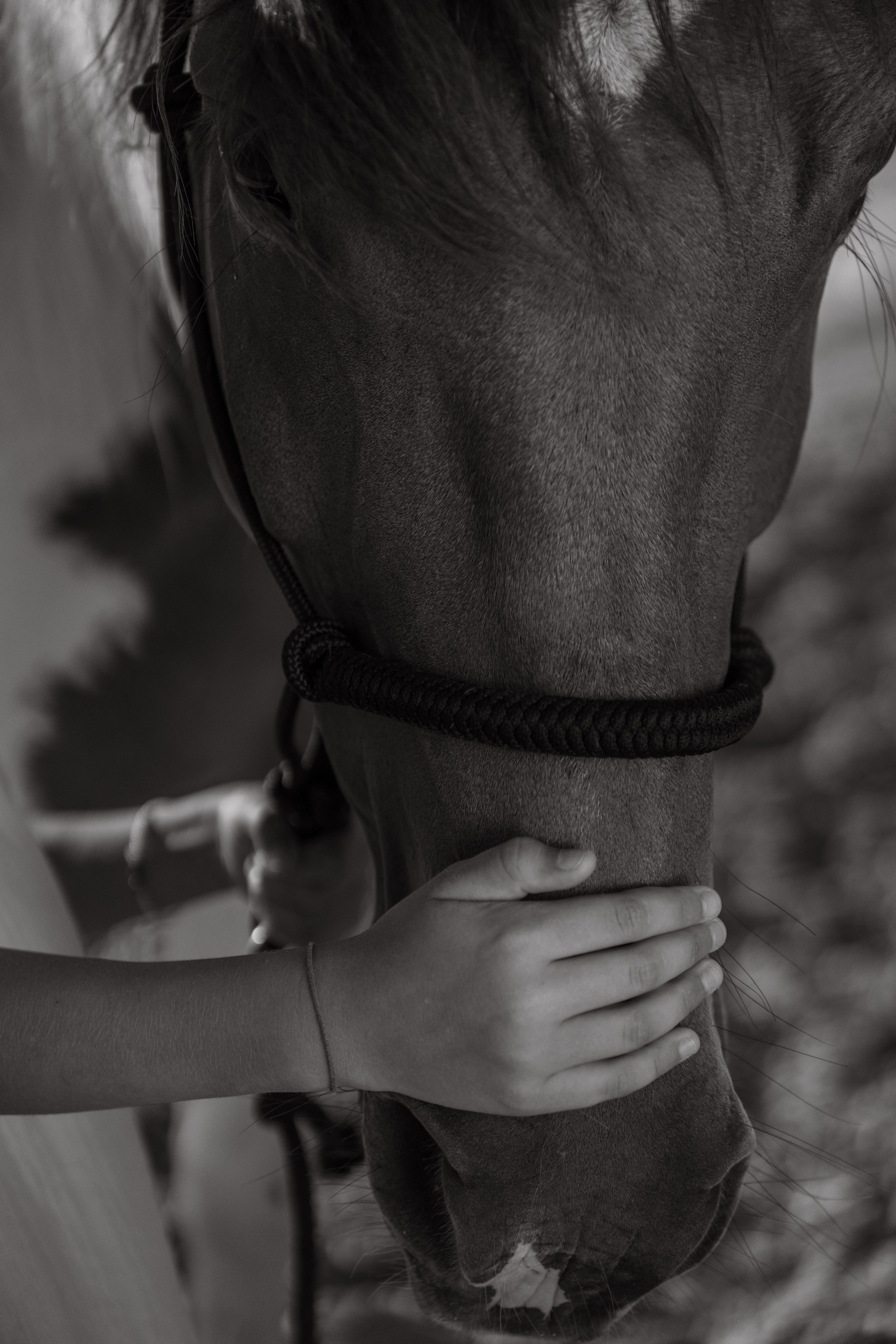 Семейная. Фотограф и Видеограф Севастополь Крым