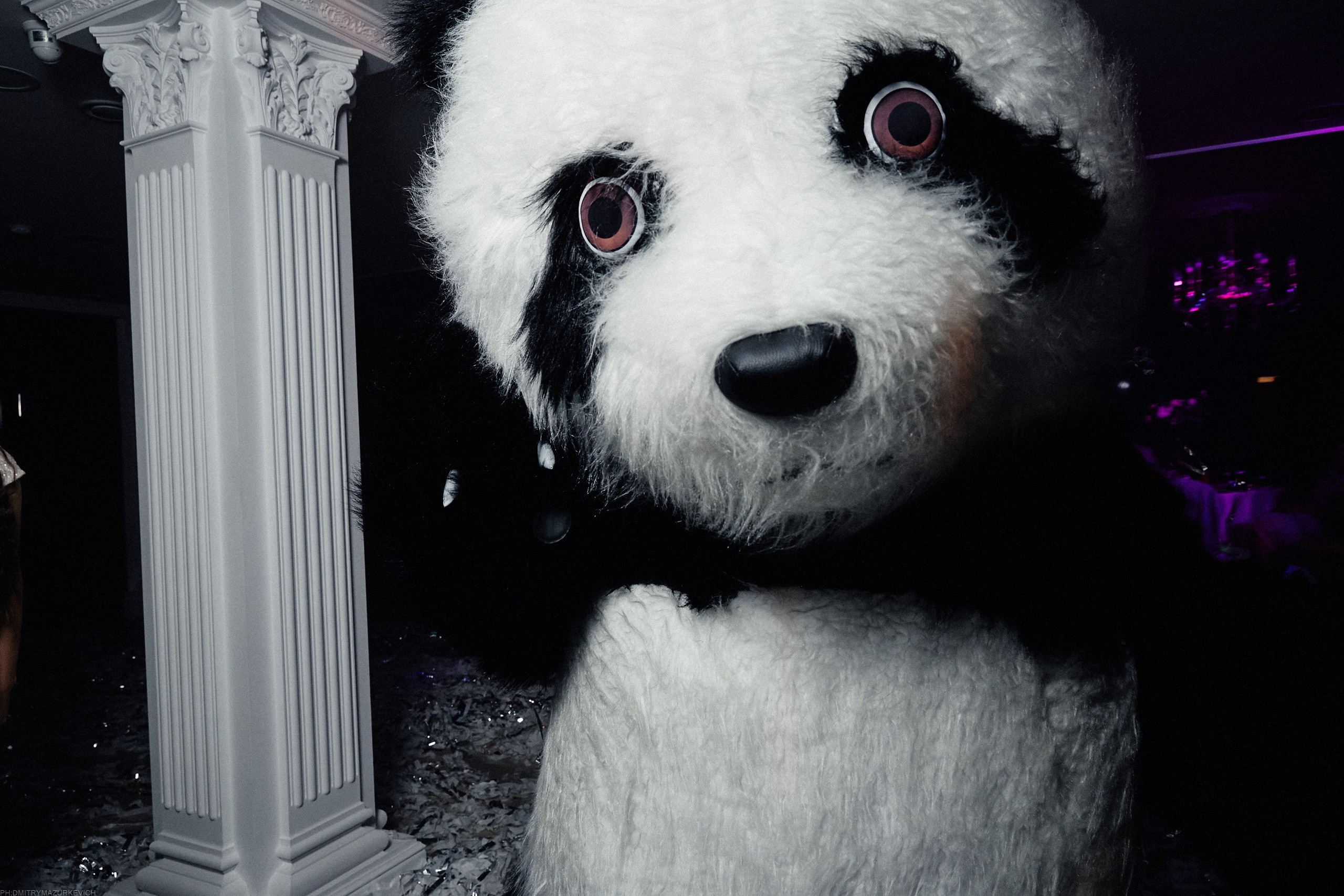 MUTUAL FEELINGS. Дмитрий Мазуркевич: Профессиональный Репортажный Фотограф