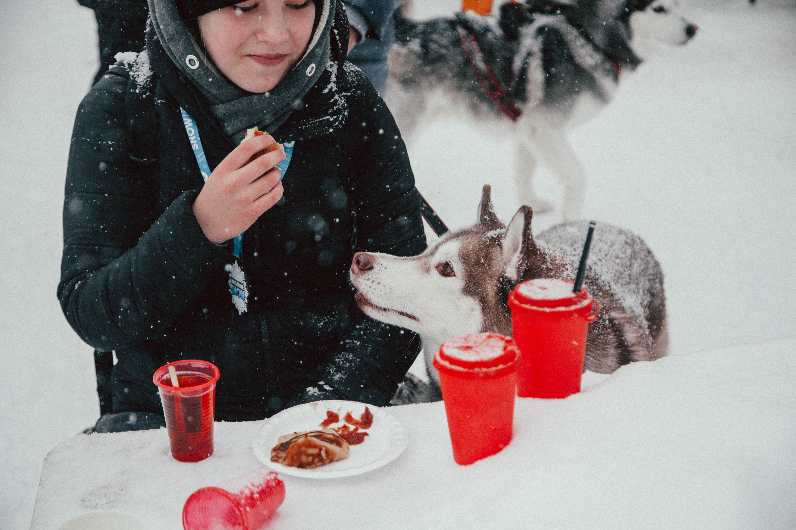 HARD TRAIL в Суоранде. Репортажный фотограф во Всеволожске и Санкт-Петербурге Владимир Капустин