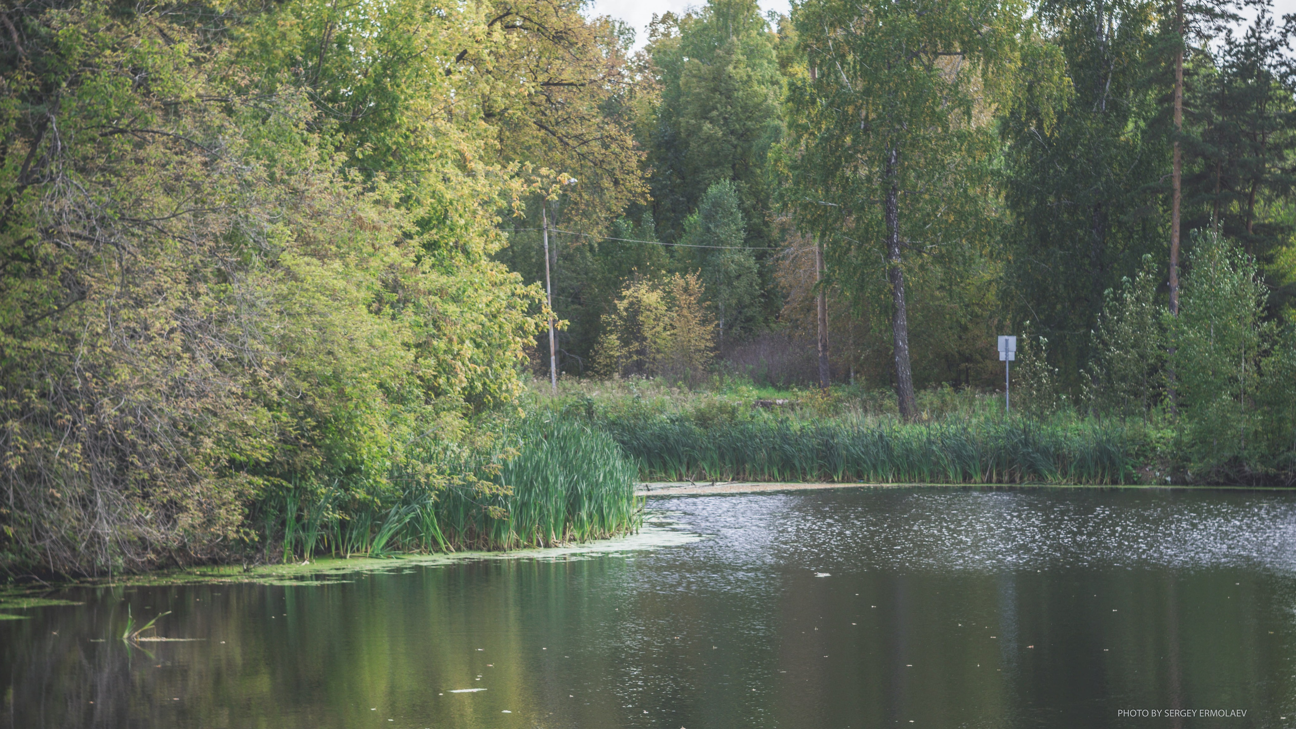На тропах старинного парка