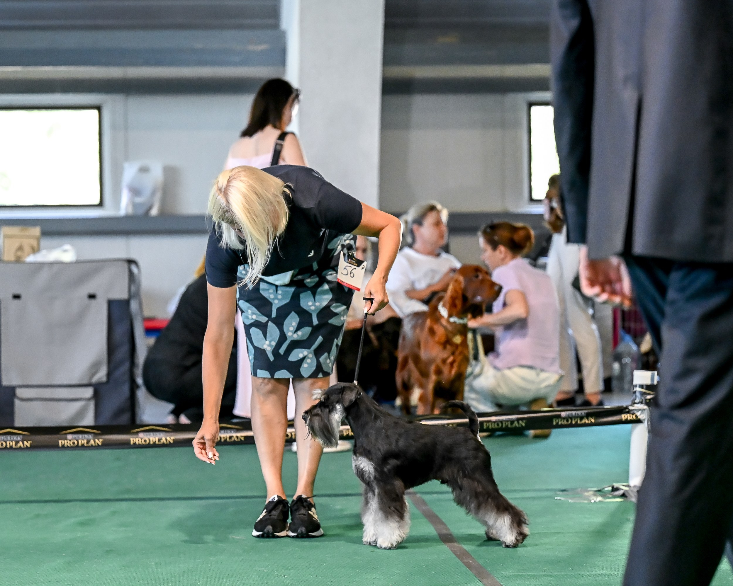 Цафир⚡️DELINSO BALANCE СZAFIR LUMIER