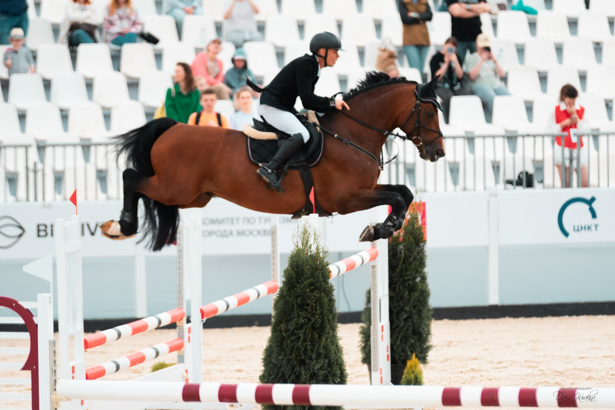 BITRIVER CUP 2023. Конный фотограф Куракина Дарья • Фотосессии с лошадьми