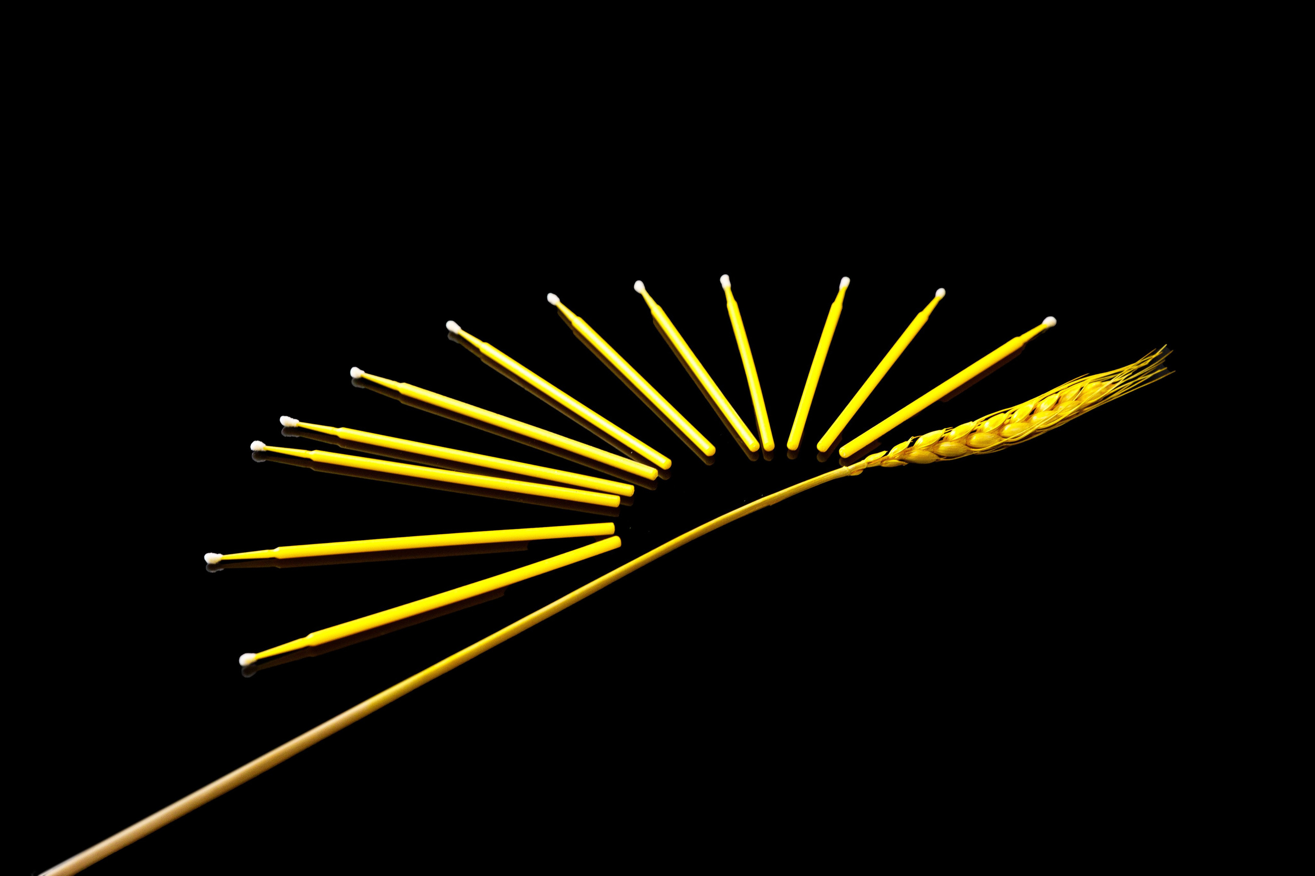 Фотограф Владимир Зиновьев