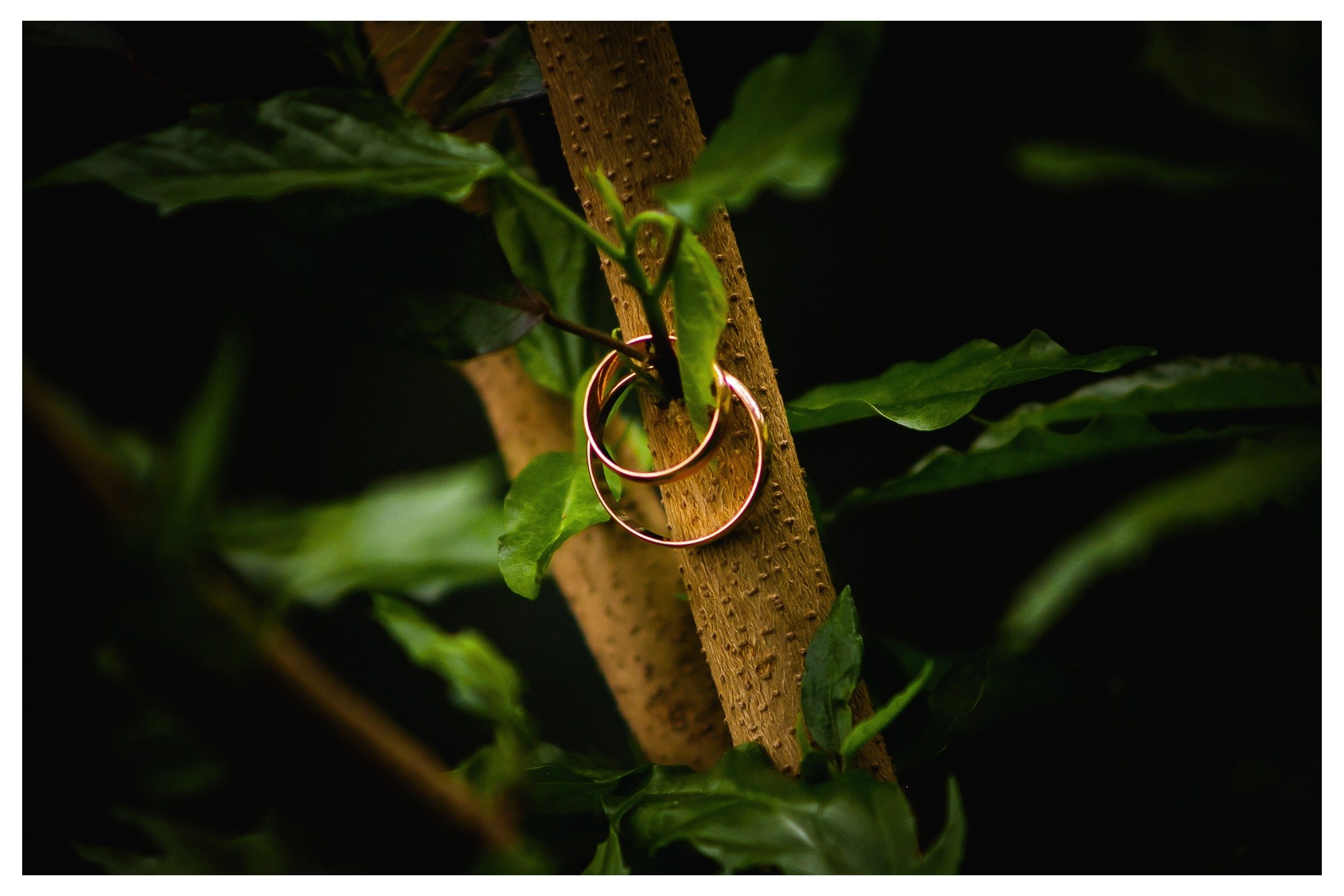 Свадьба Антона и Оли. Фотограф Георгий Сапожников