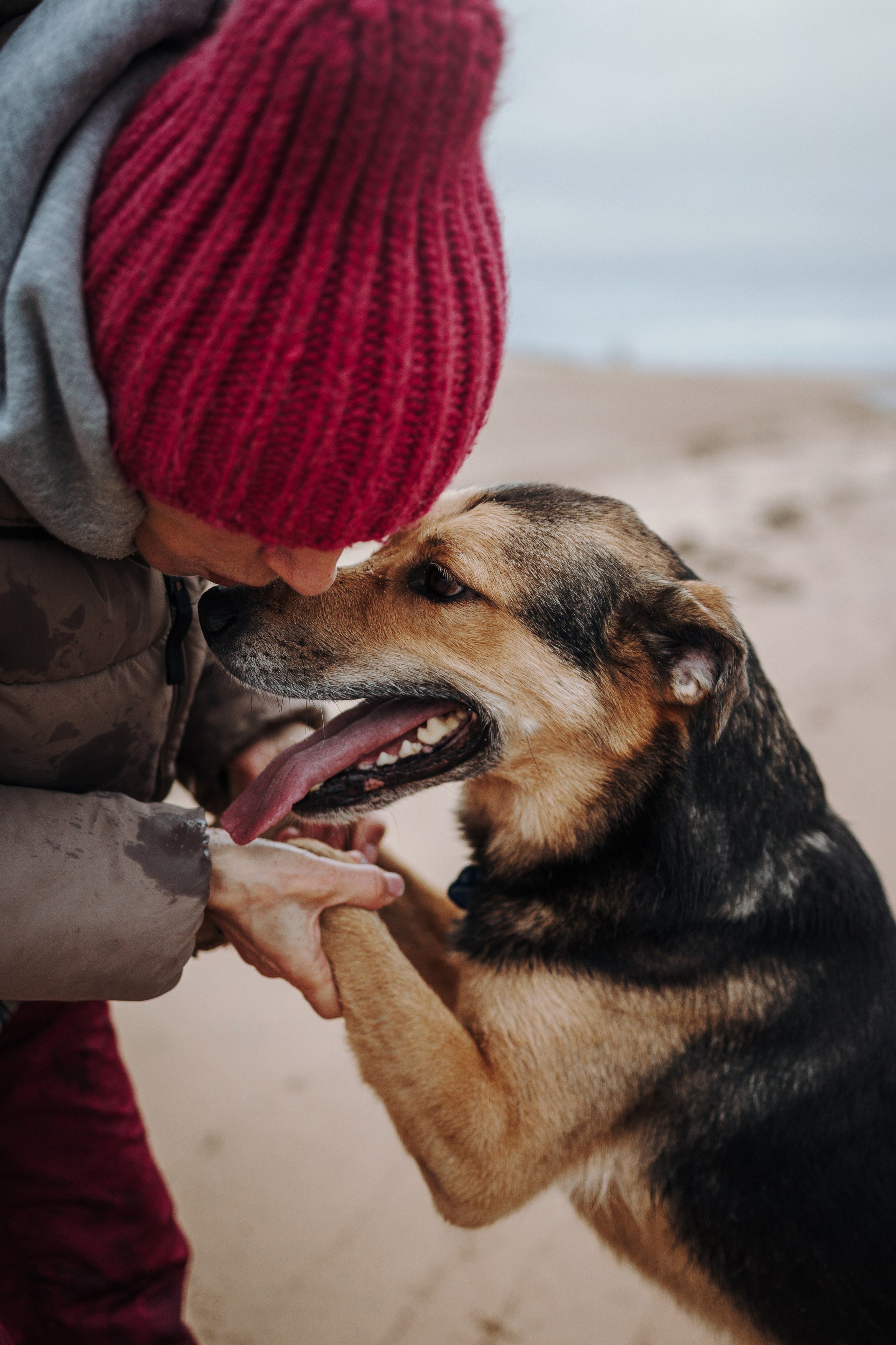 Наталья и Того. Фотограф — Анималист | Санкт-Петербург