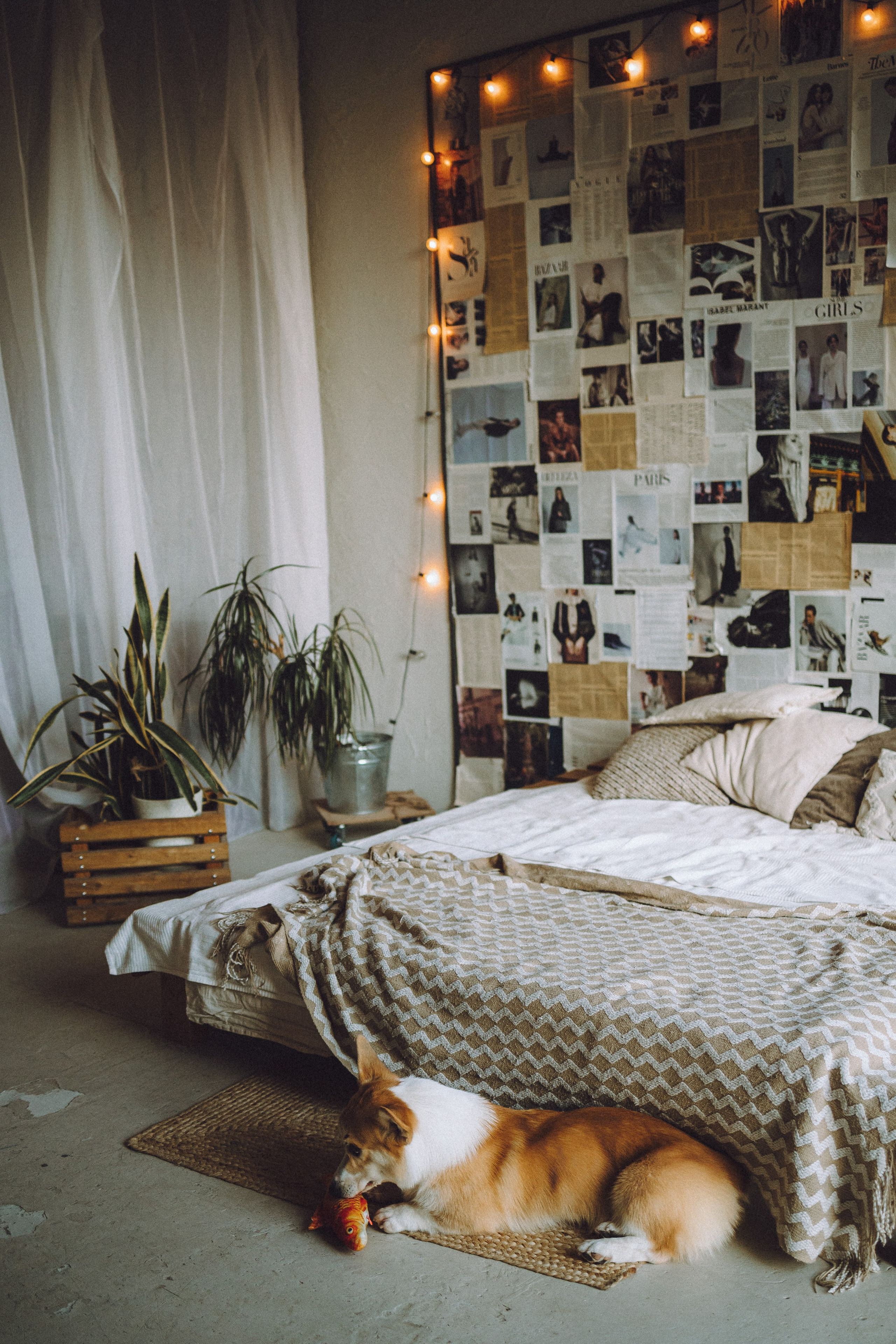 Наталья, Евгений и Мерлин