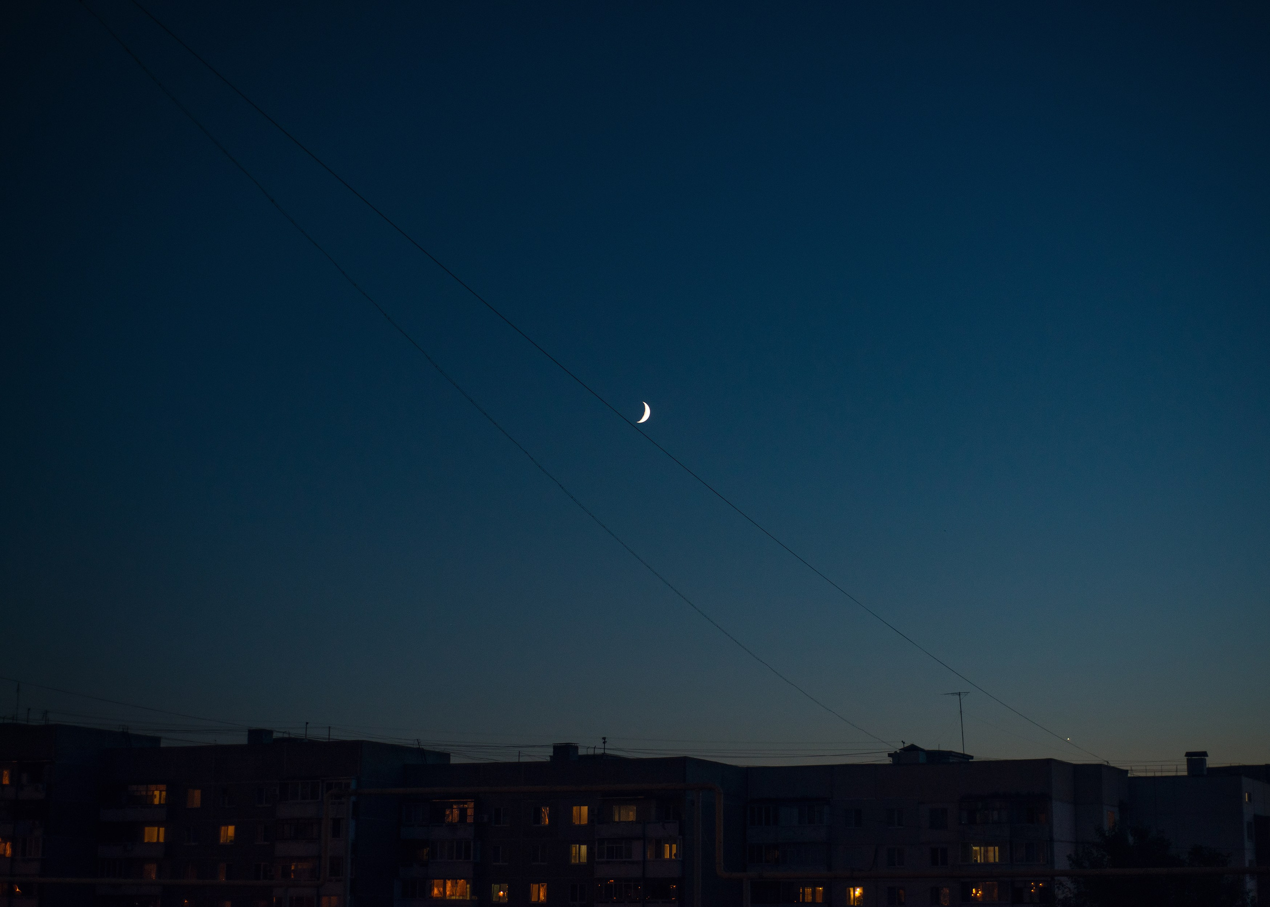 Sky full of stars. Фотограф в Санкт-Петербурге Мария Мельникова