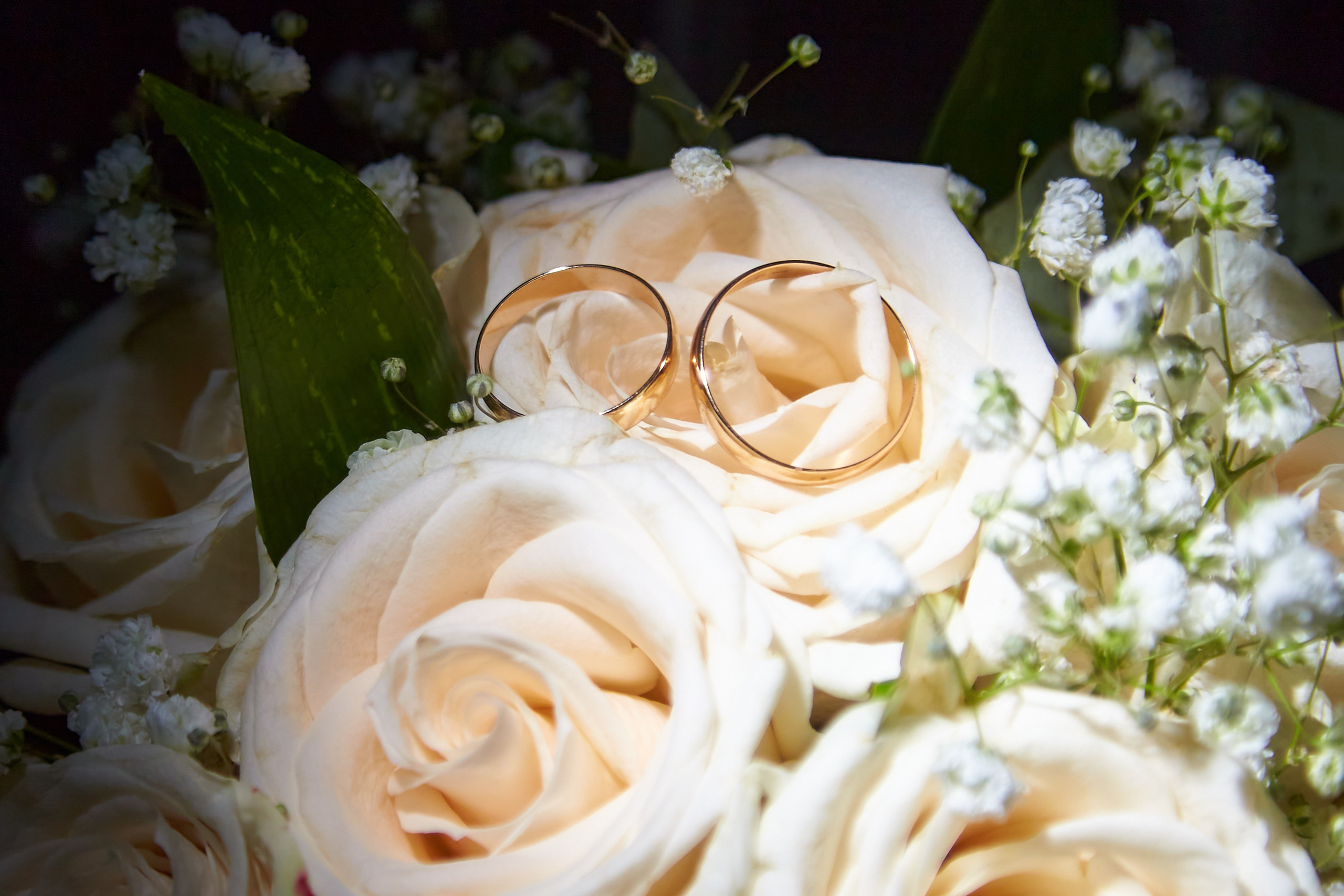 Дарья и Амир