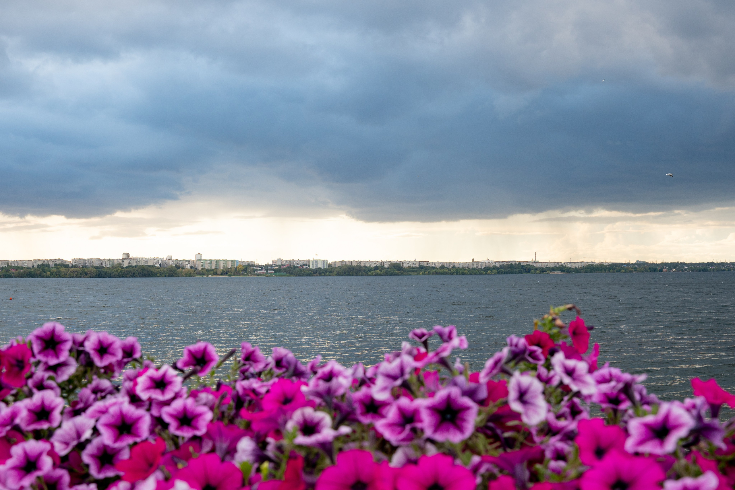 ОТКРЫТИЕ НАБЕРЕЖНОЙ В ЧУРИЛОВО. Фотограф на любое мероприятие
