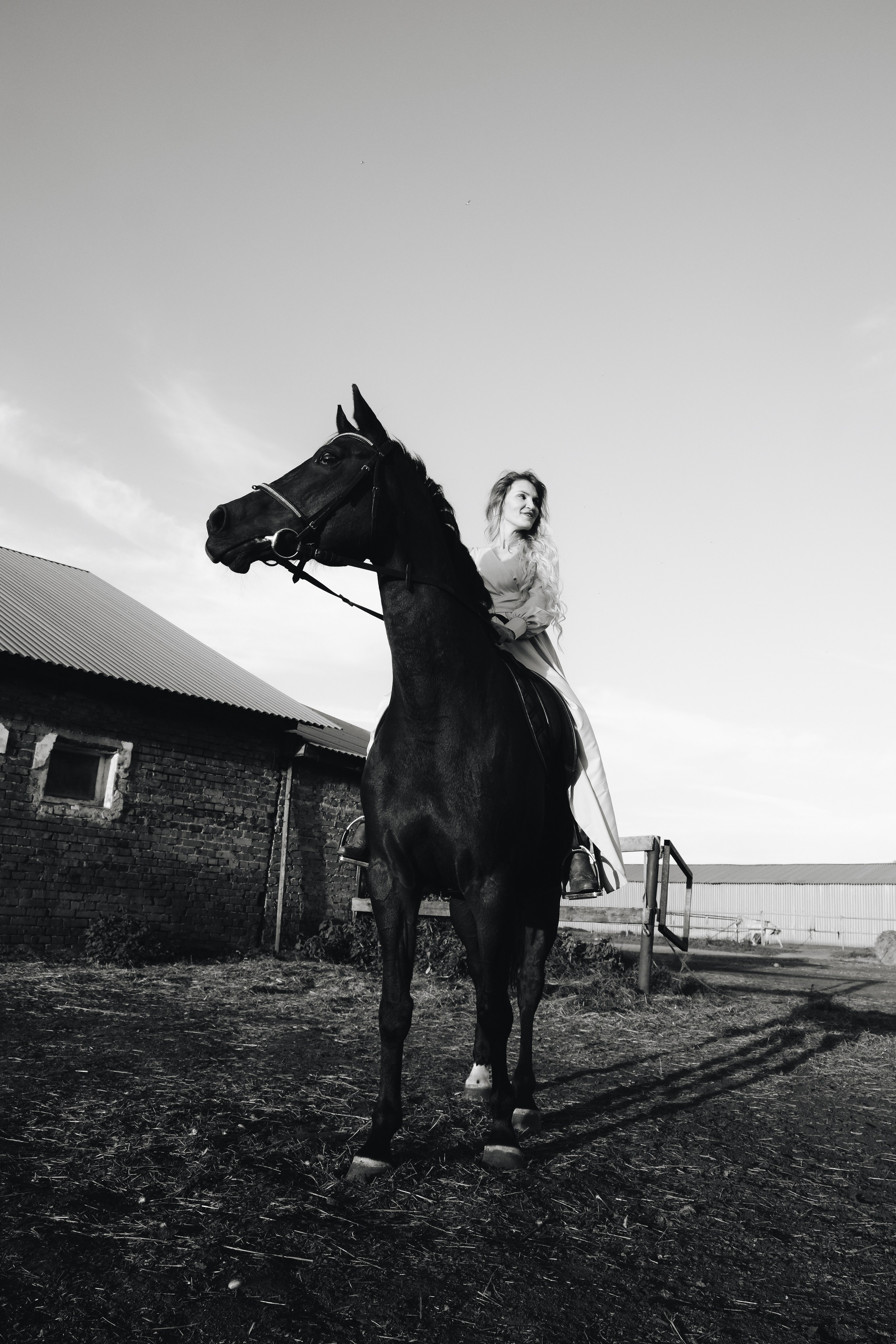 25.09.26 Евгения с конями. Фотограф Наташа Лисица