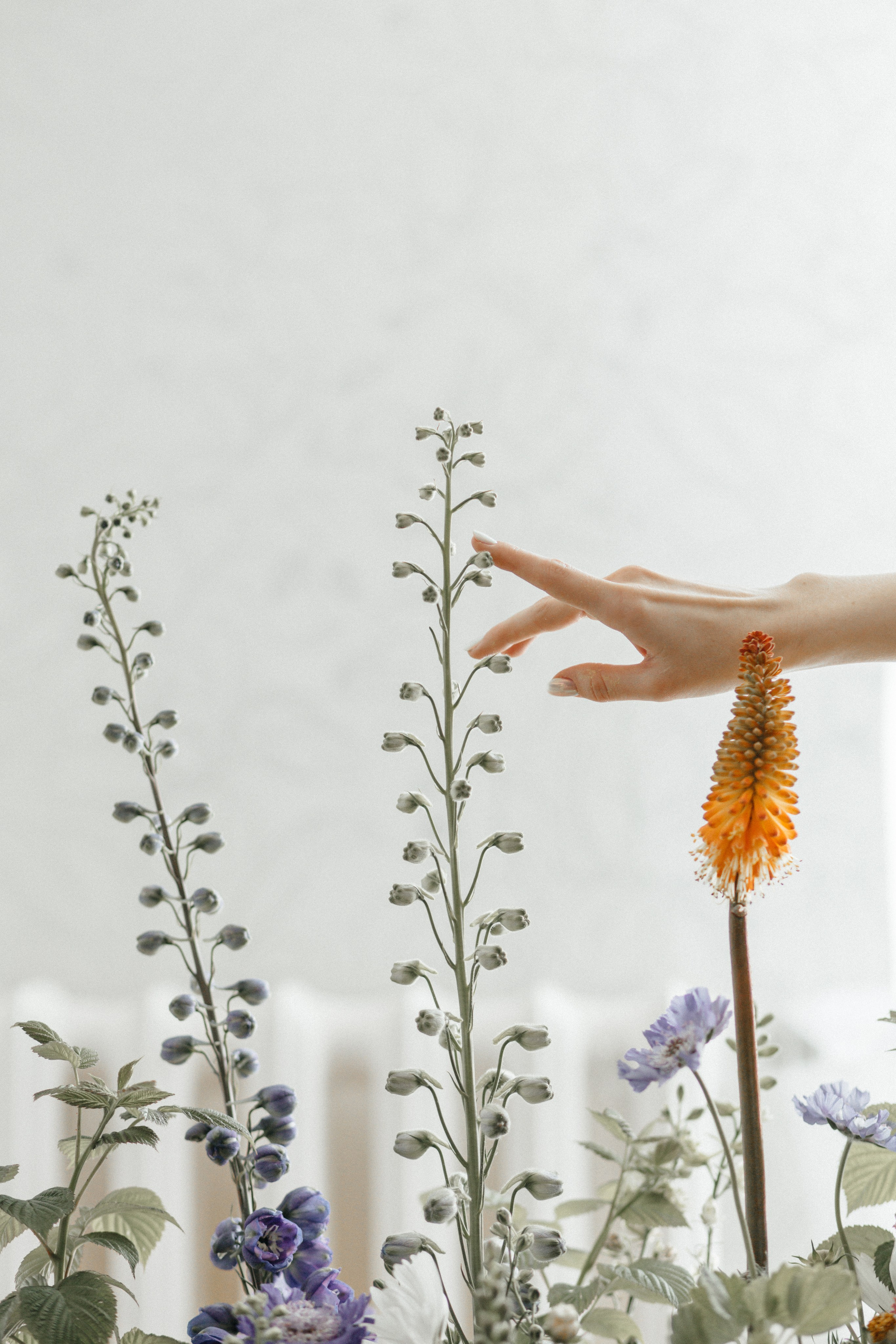 Кирилл & Александра. Главная