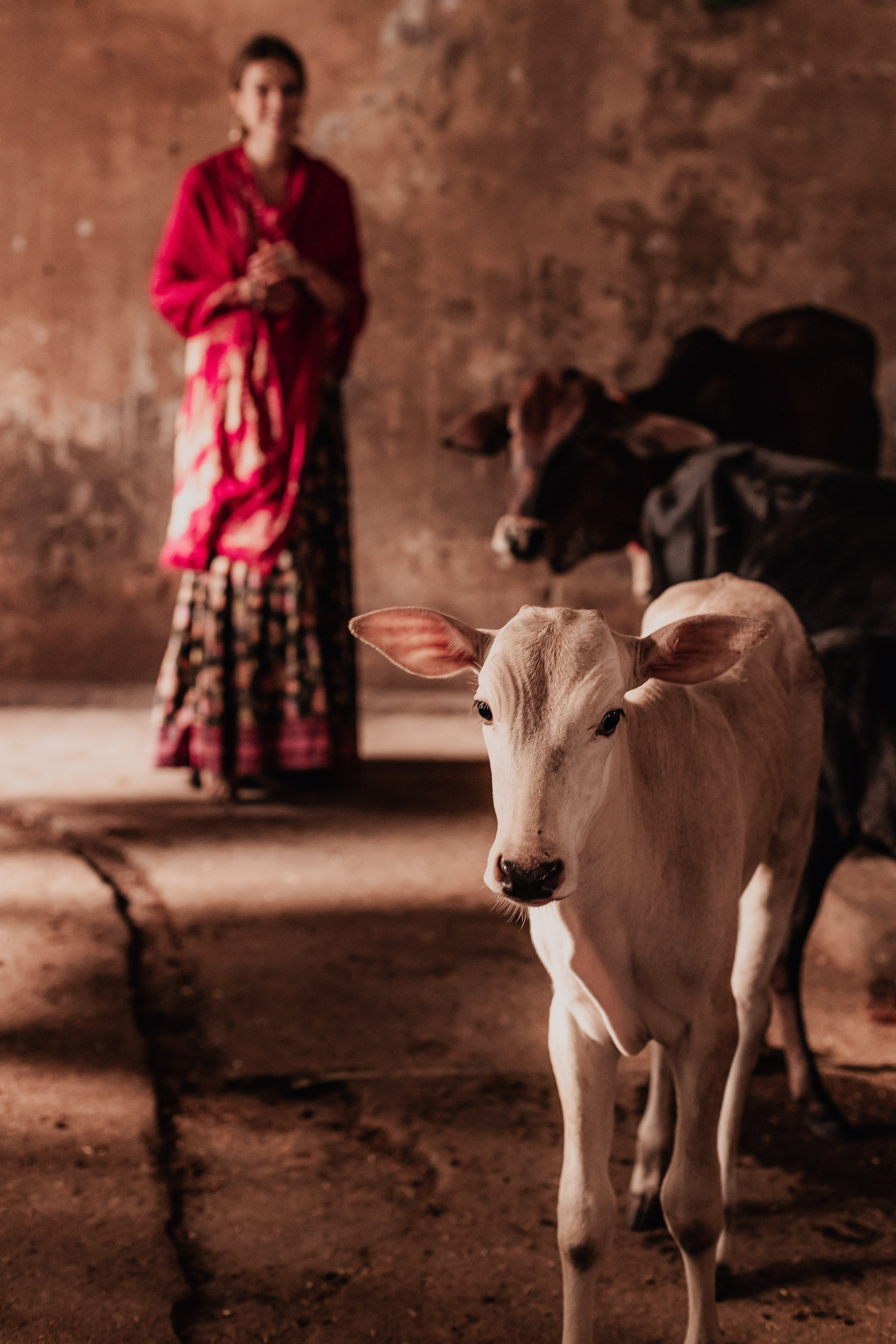 Nikunja Devi. Mariam Bagdasaryan