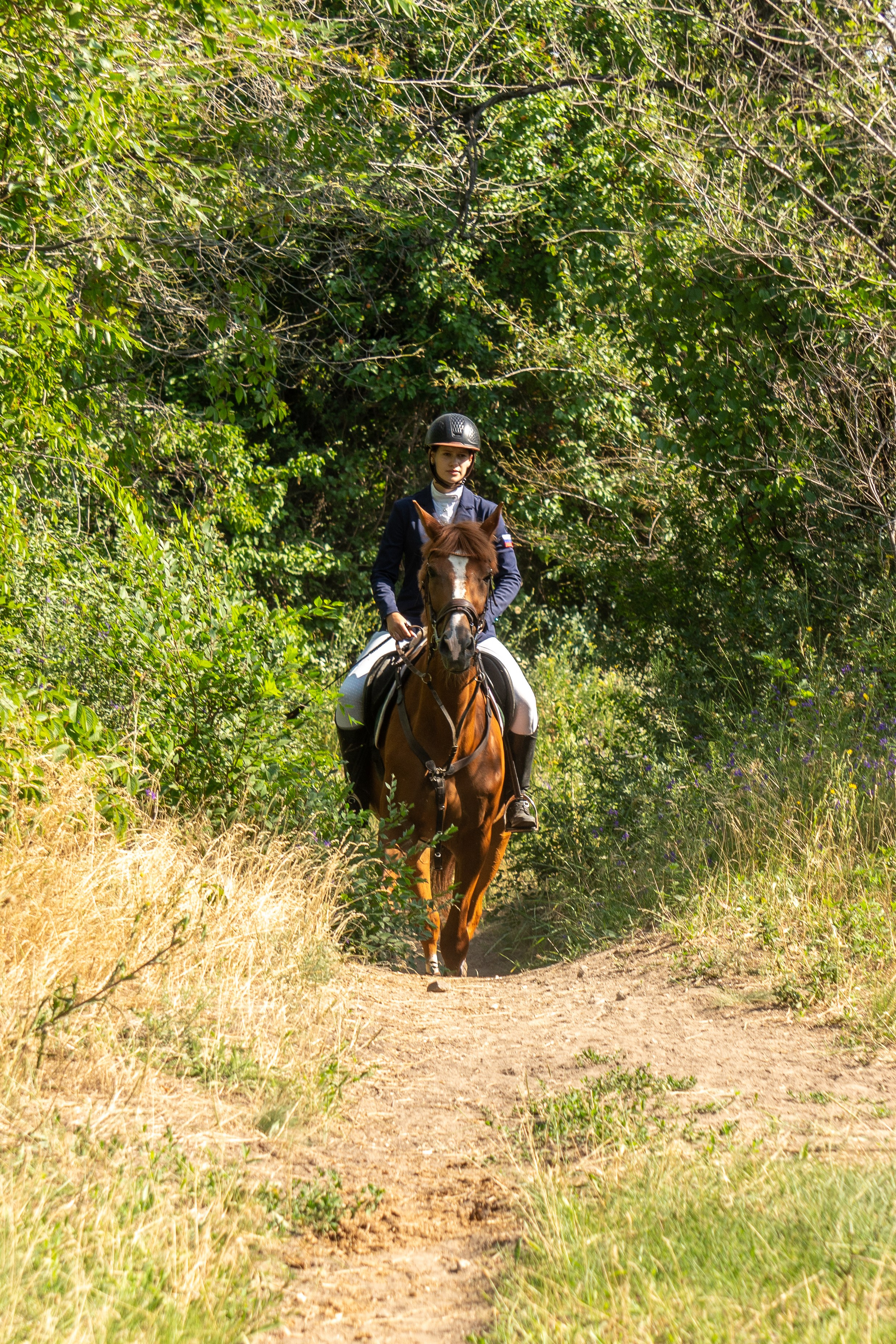 Лошадь с жокеем выходит из-за деревьев, соревнование по конкуру Луганск, конный спорт, форма жокея, культурная жизнь Луганска, спортивное мероприятие, полчаса до соревнований
