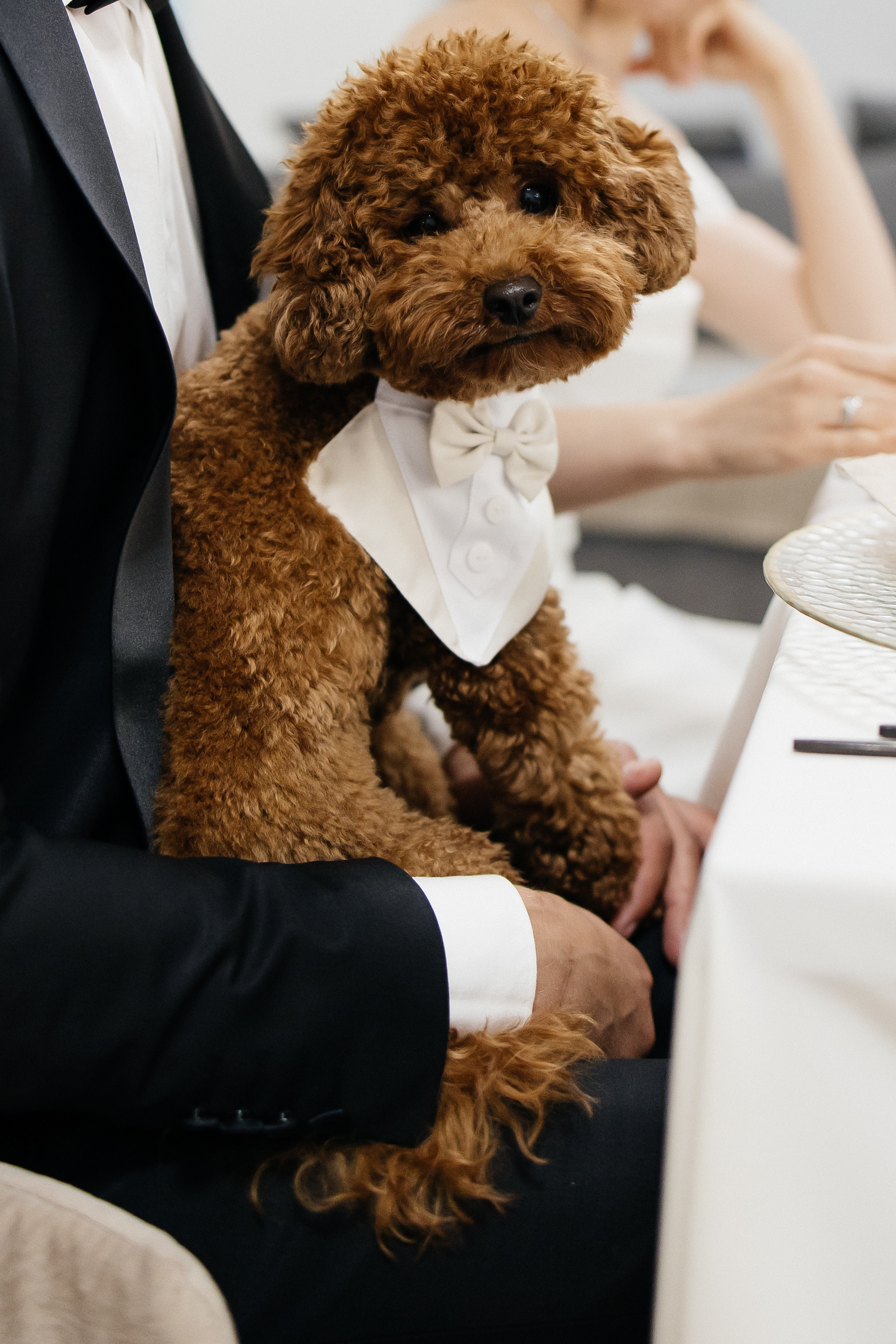 Дима и Катя. Свадебный и семейный фотограф Тина Ленина Москва/Санкт-Петербург