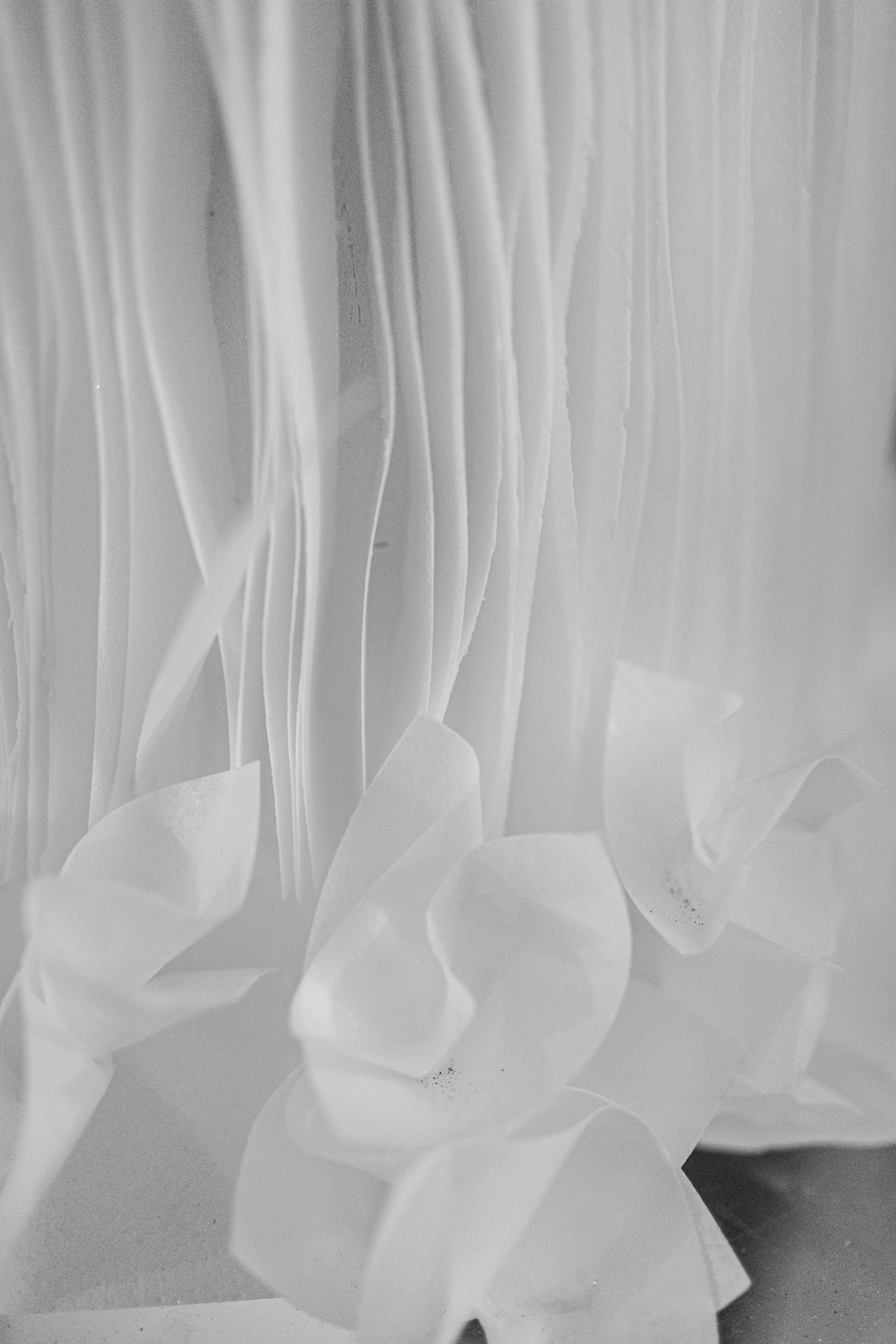 Дима и Катя. Свадебный и семейный фотограф Тина Ленина Москва/Санкт-Петербург