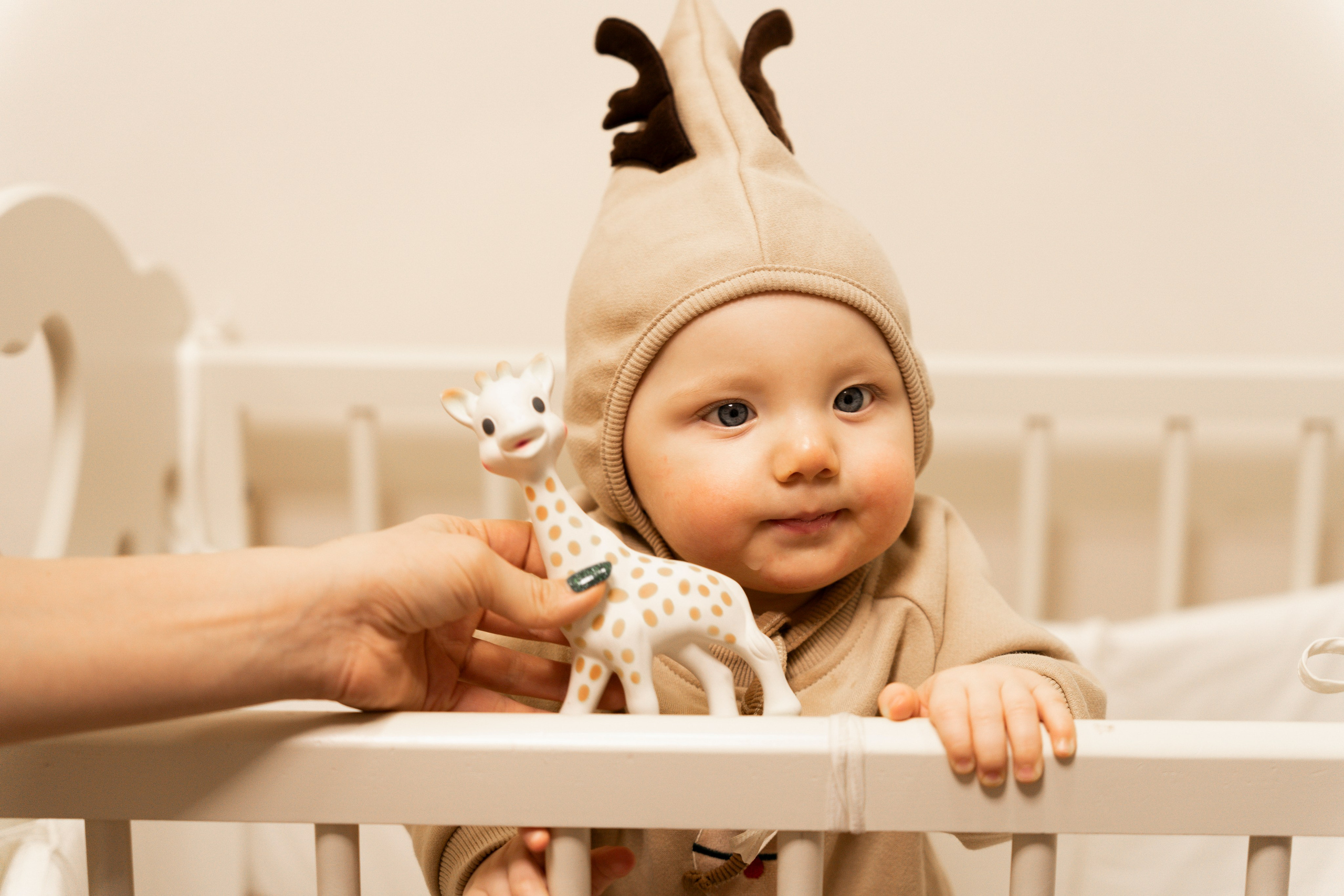 Новогодние тройняшки. Главная