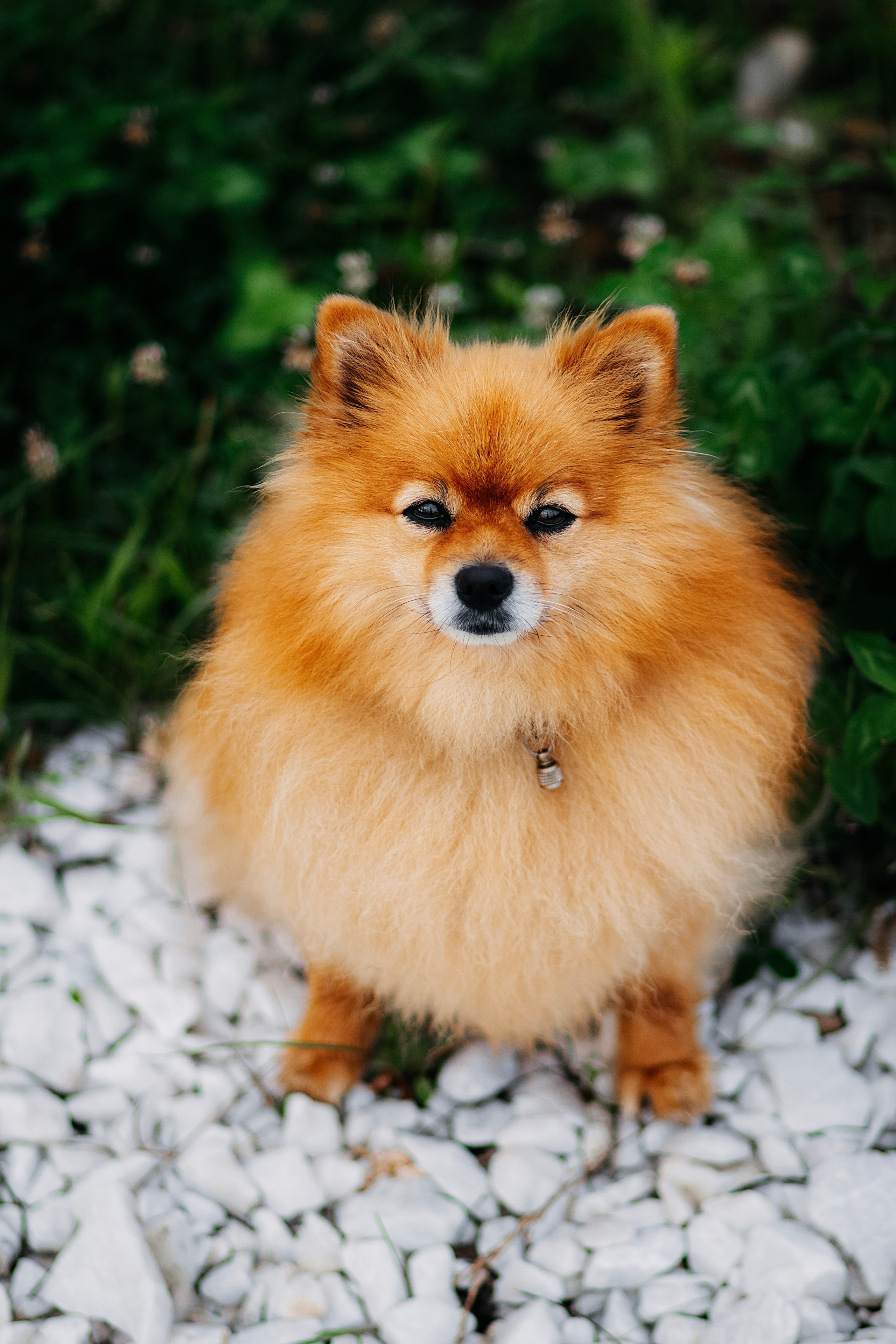 Джулия. Фотограф в Арсеньеве