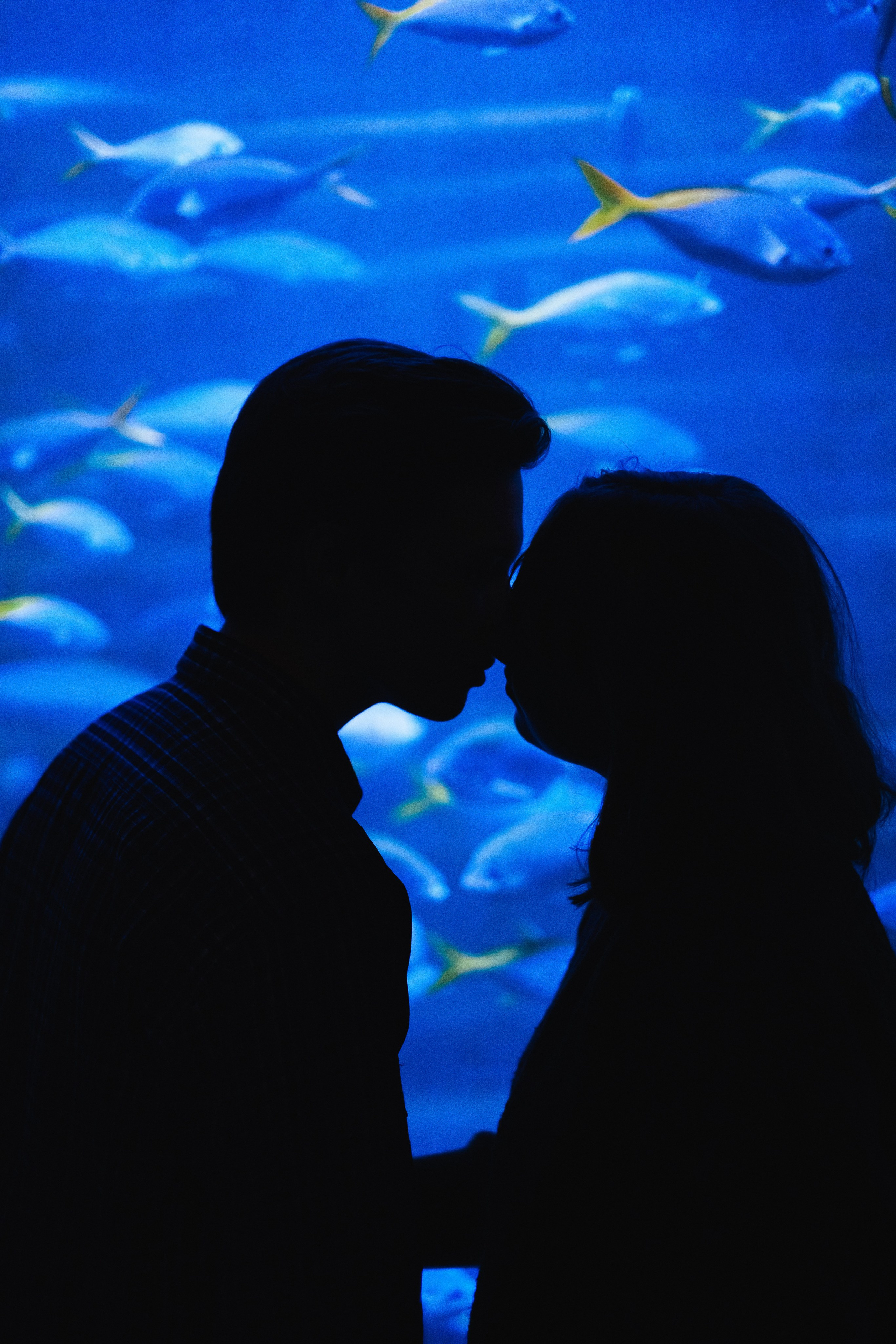 Океанариум. Фотограф Благовещенска Яна