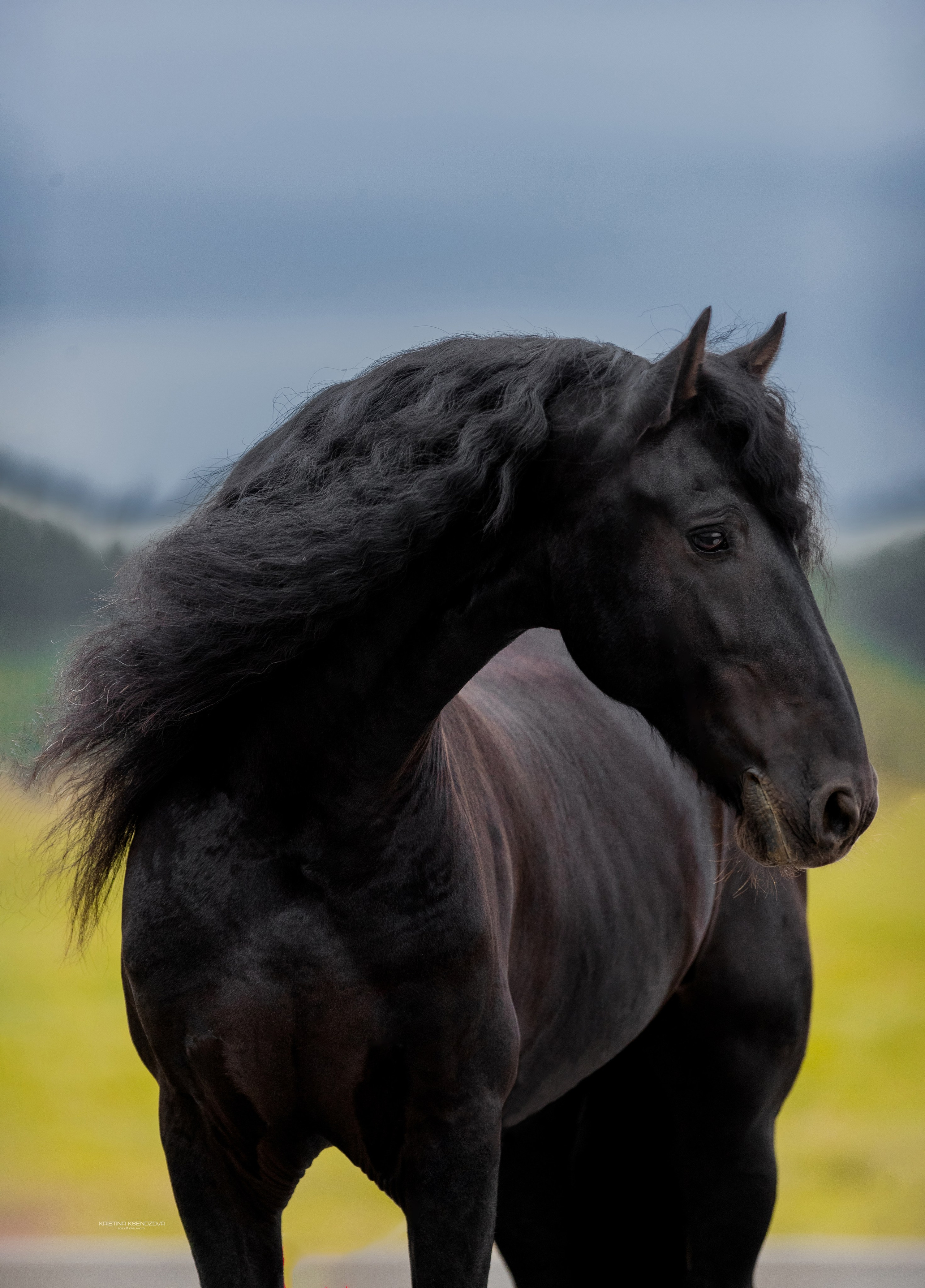 На природе. Фотограф-анималист Ксендзова Кристина