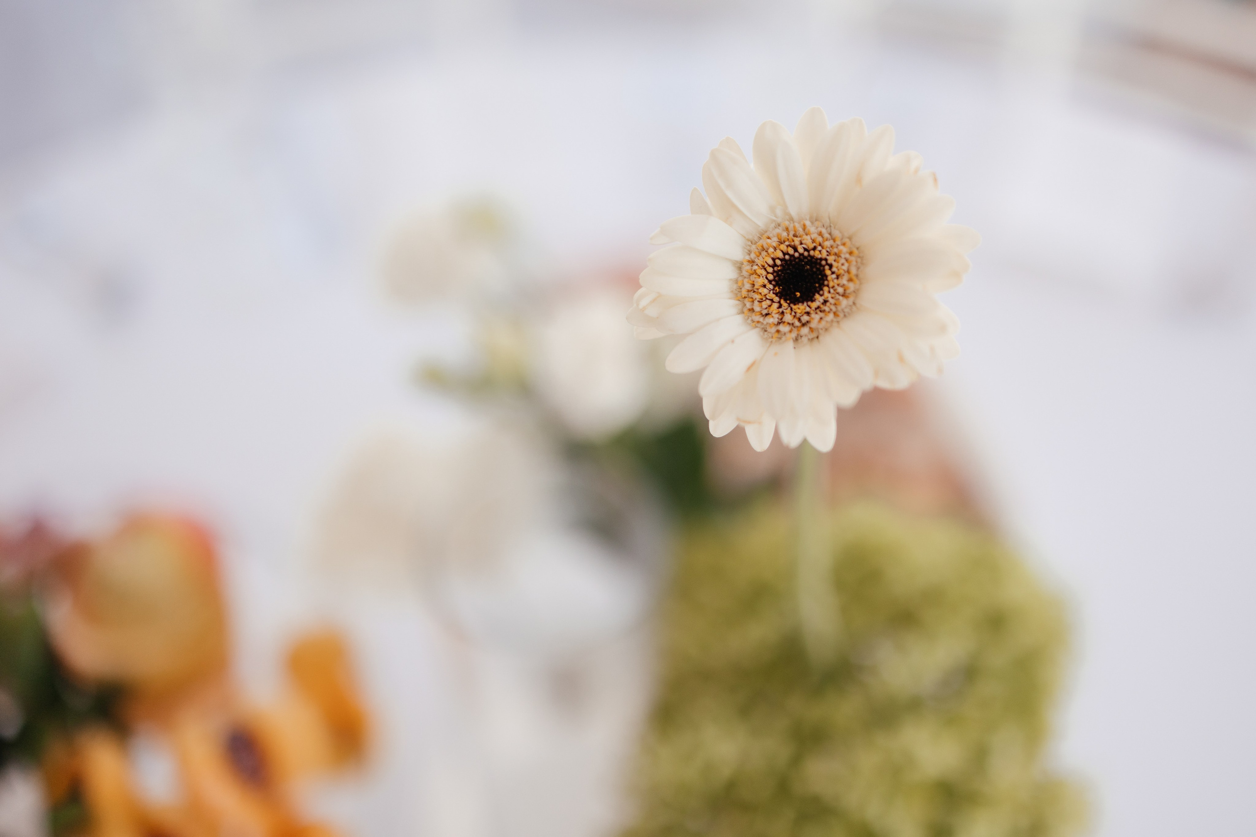 Вова и Лера. Фотограф Крохин Олег