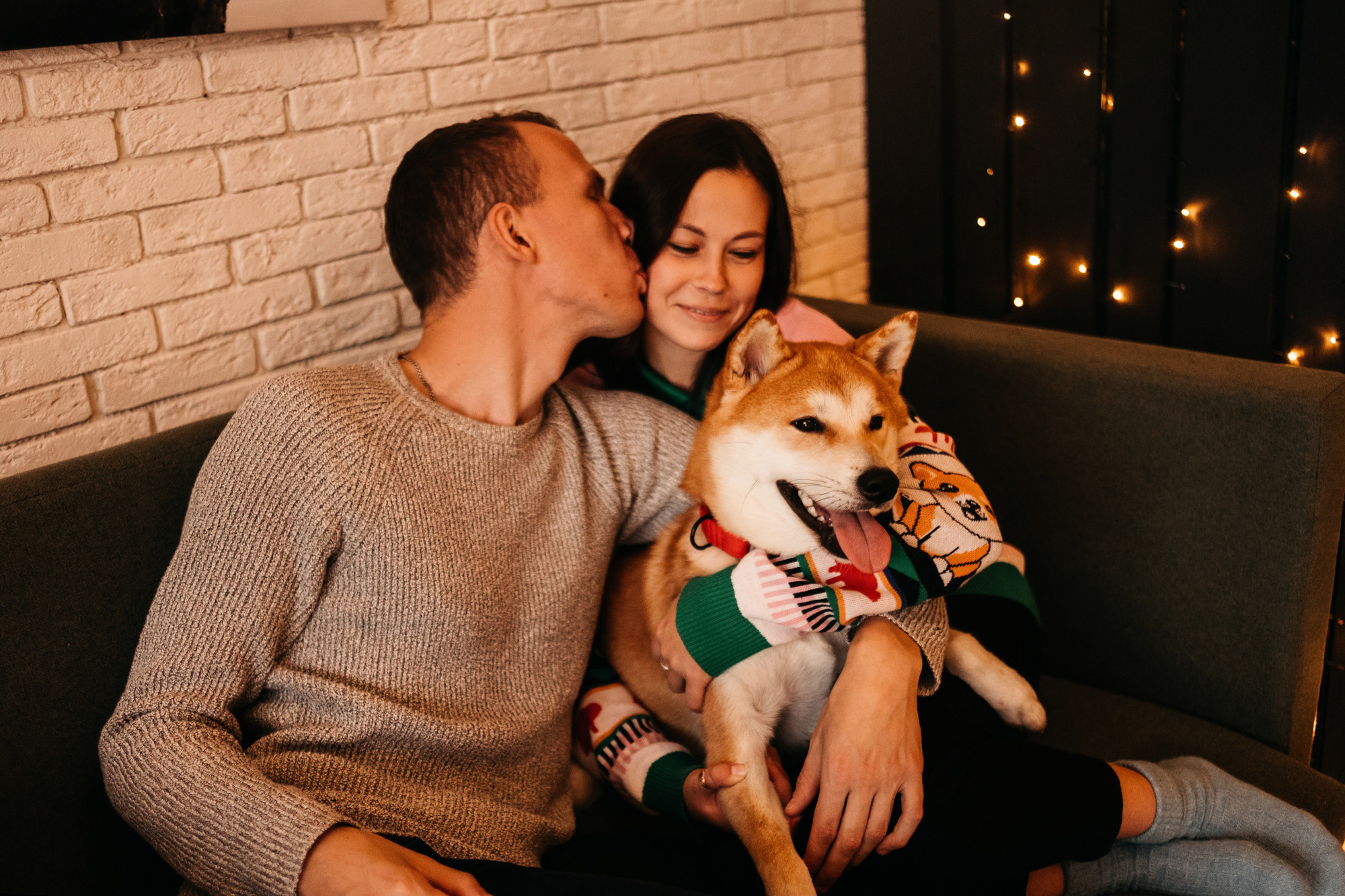 Арчи. Фотограф-анималист Елена Радченко, Москва