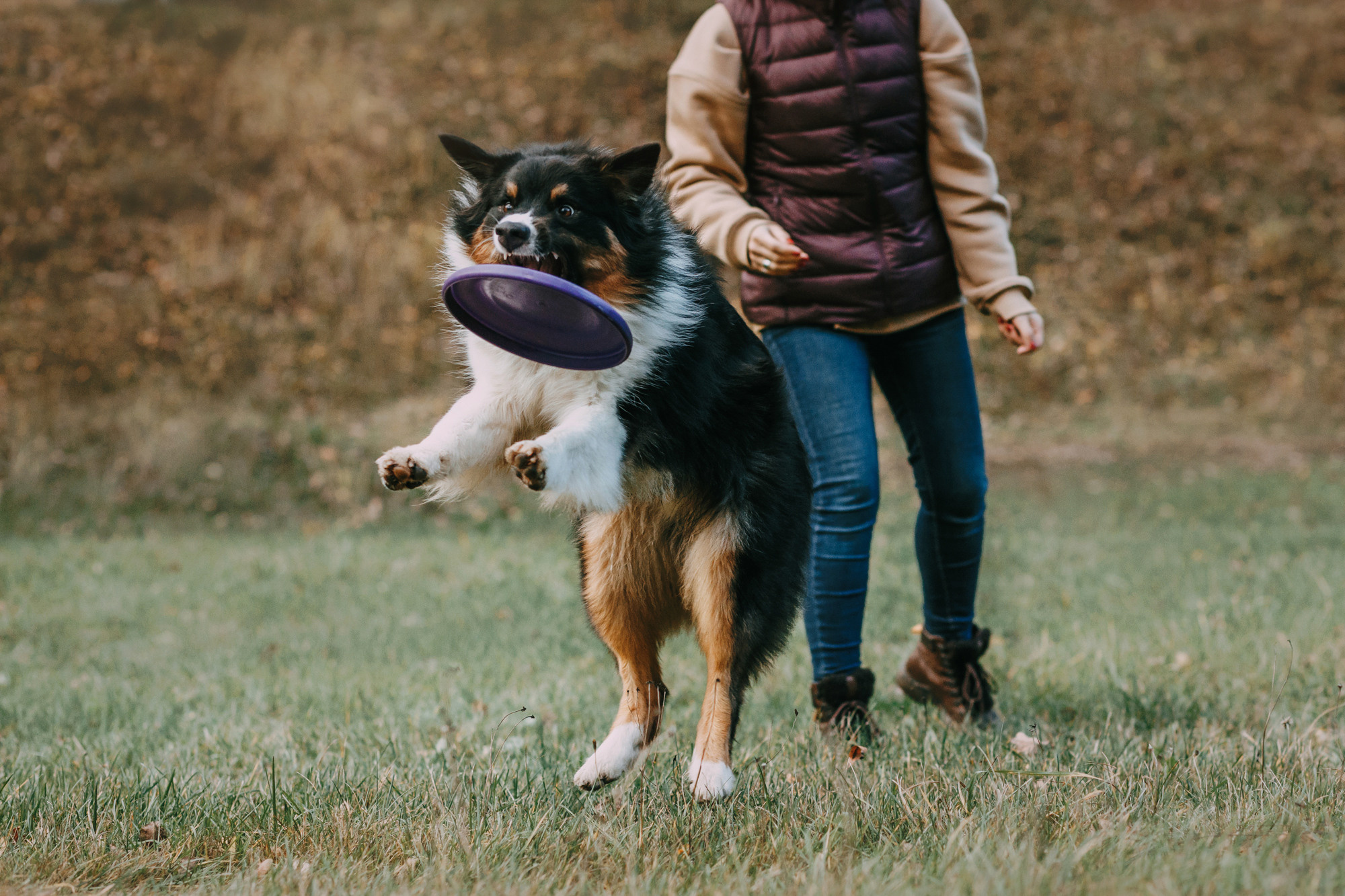 Анна, Чарли и Ева. Фотограф-анималист Елена Радченко, Москва