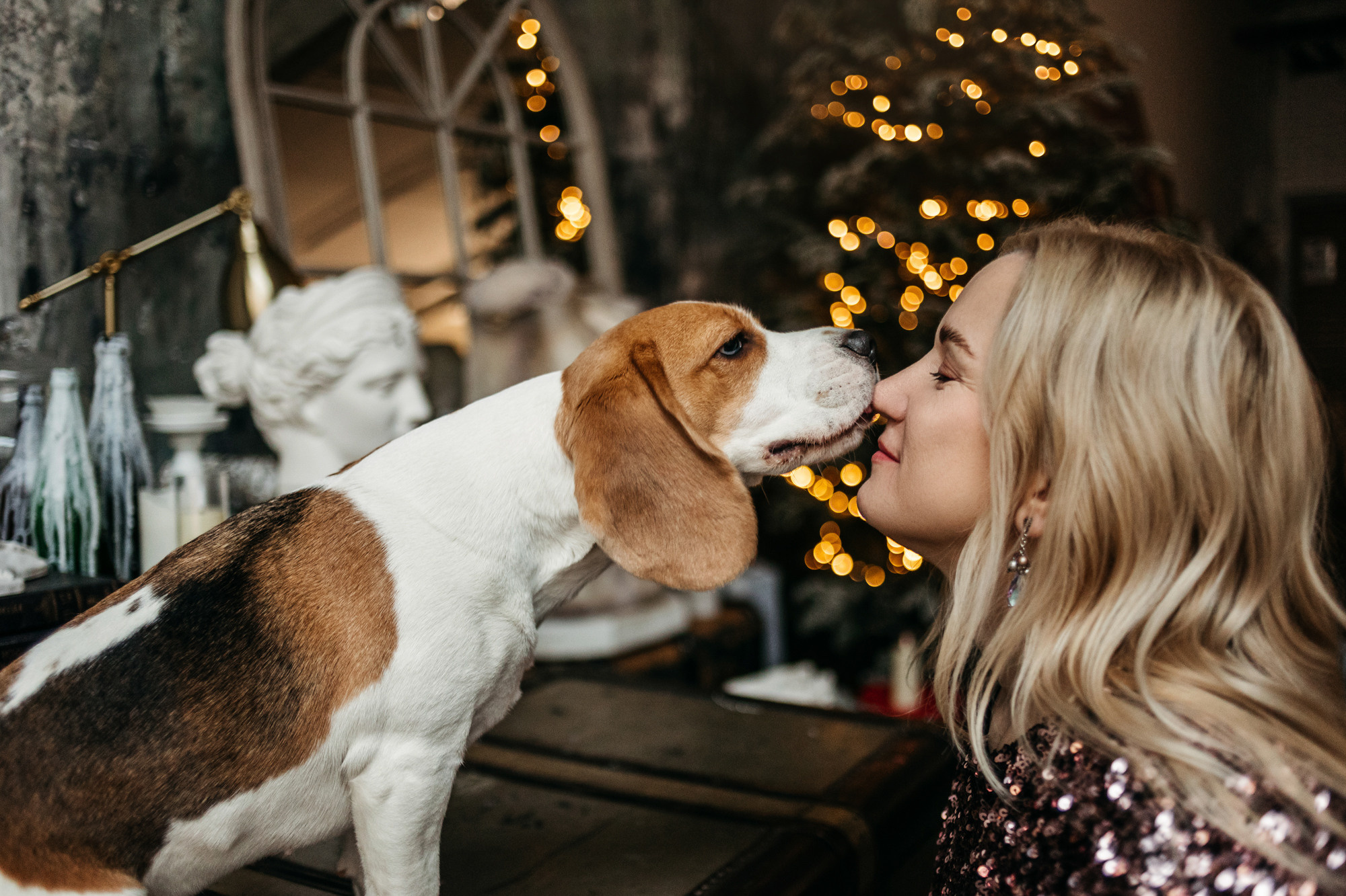 Новогодний фотодень. Фотограф-анималист Елена Радченко, Москва