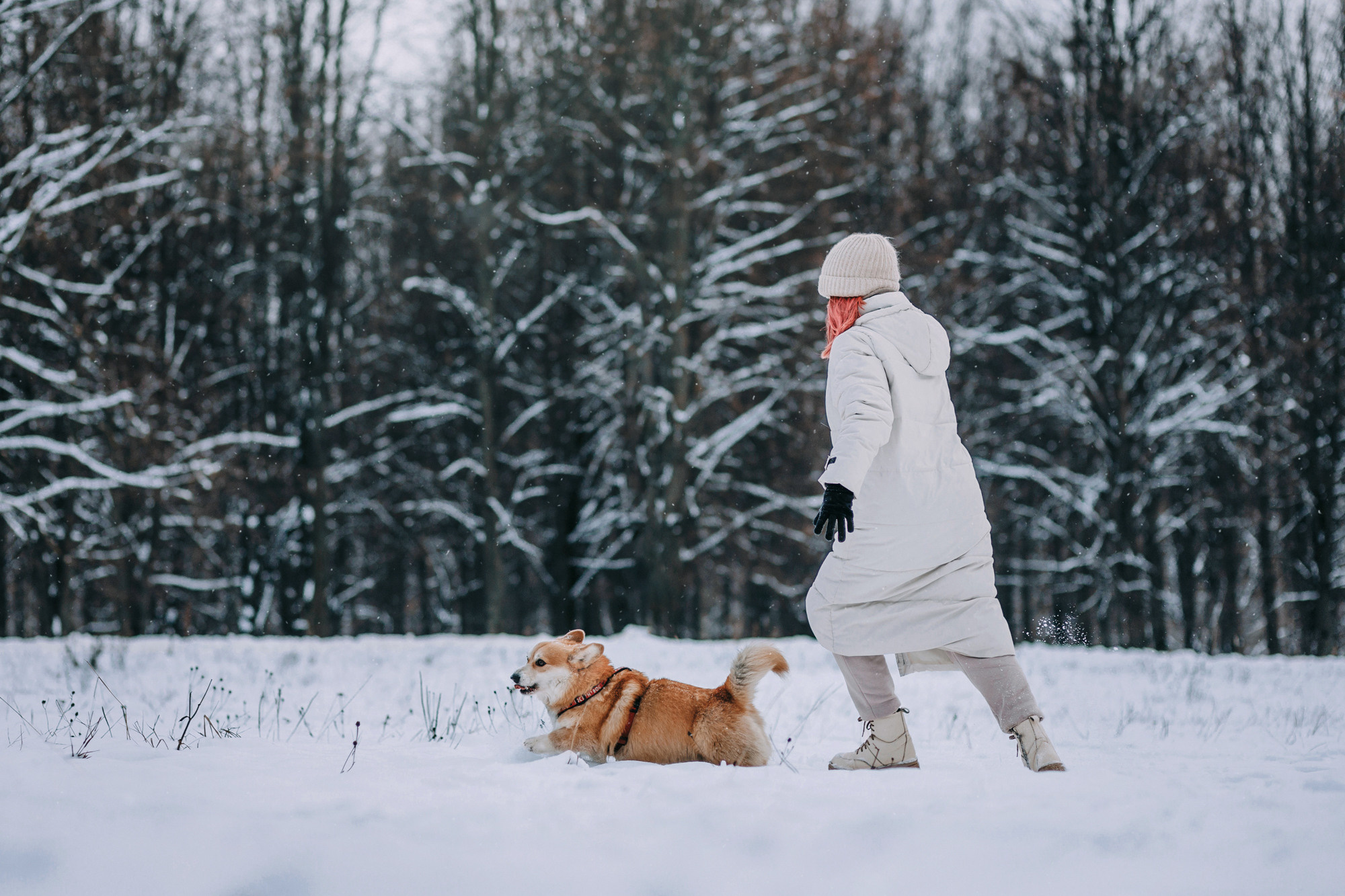 Аня и Фил. Фотограф-анималист Елена Радченко, Москва