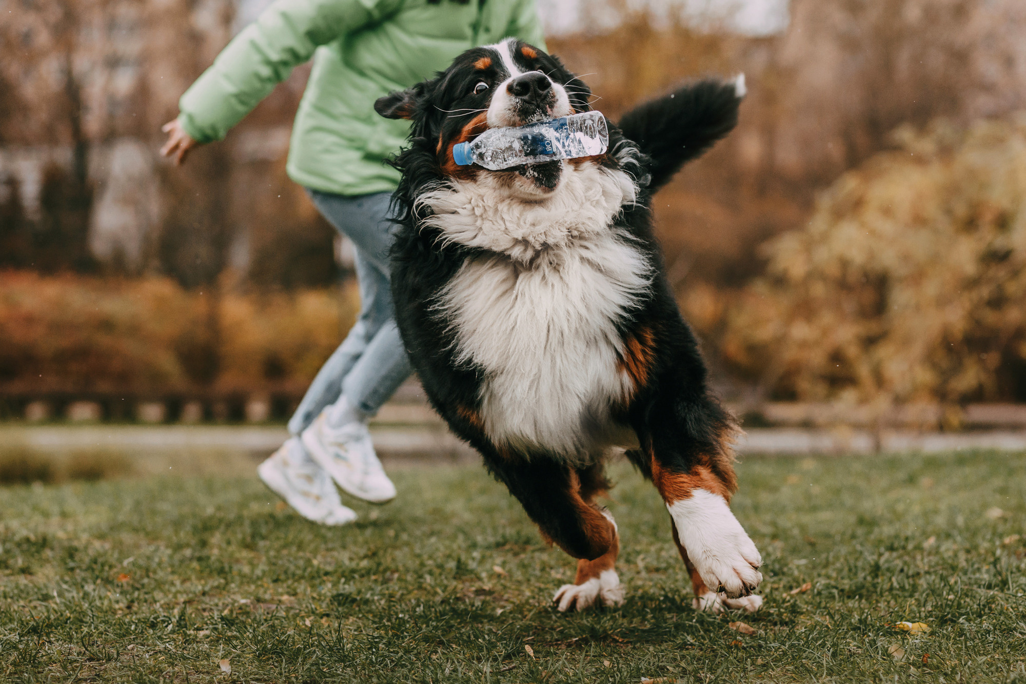 Ира и Бергамот. Фотограф-анималист Елена Радченко, Москва