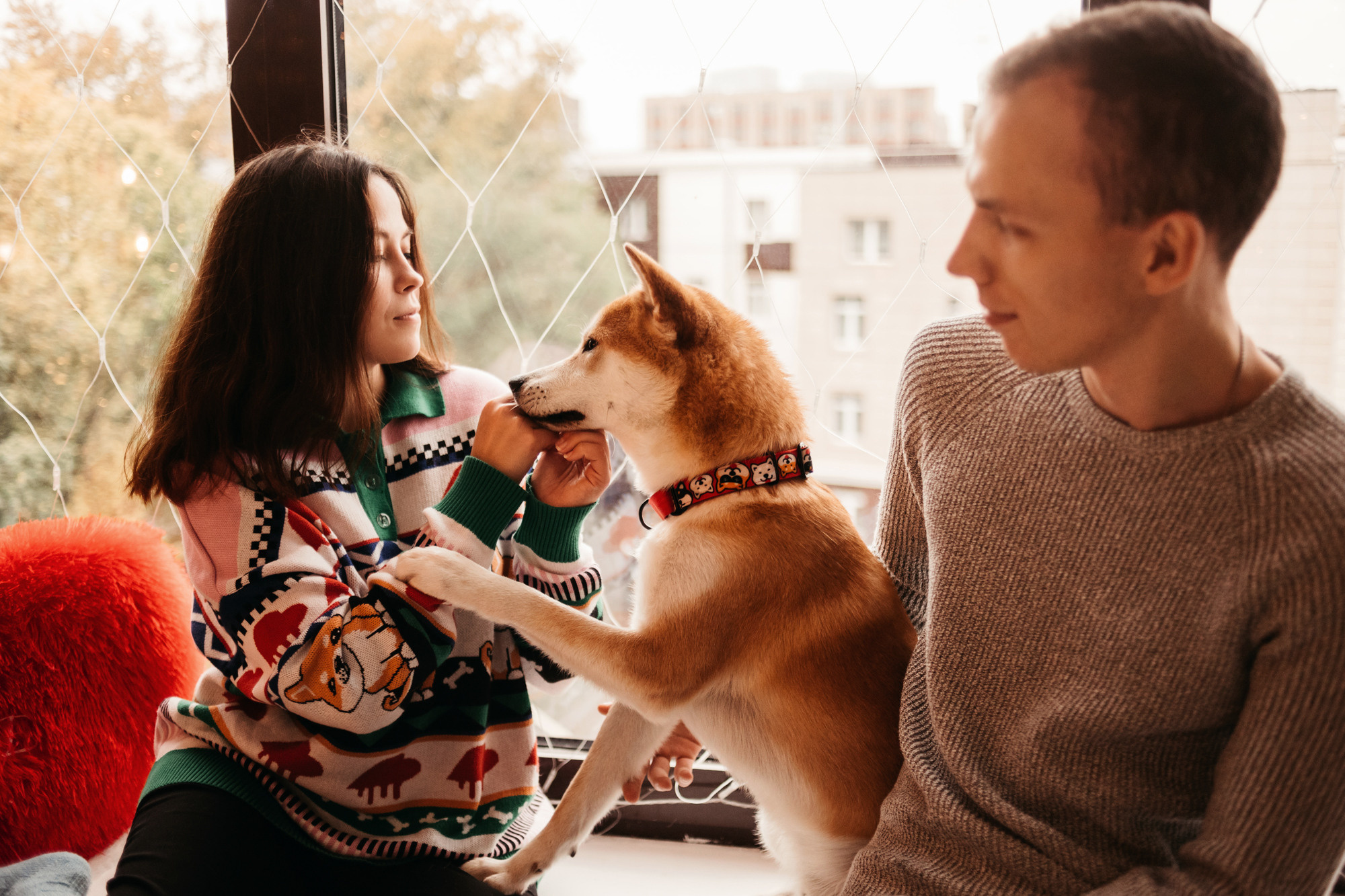 Арчи. Фотограф-анималист Елена Радченко, Москва