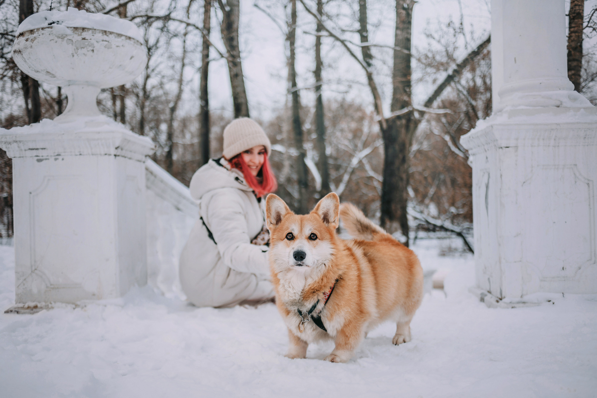 Аня и Фил. Фотограф-анималист Елена Радченко, Москва
