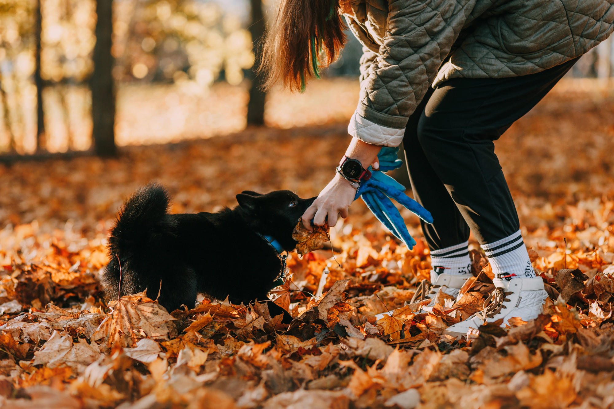 Настасья, Саша и Рокки. Фотограф-анималист Елена Радченко, Москва