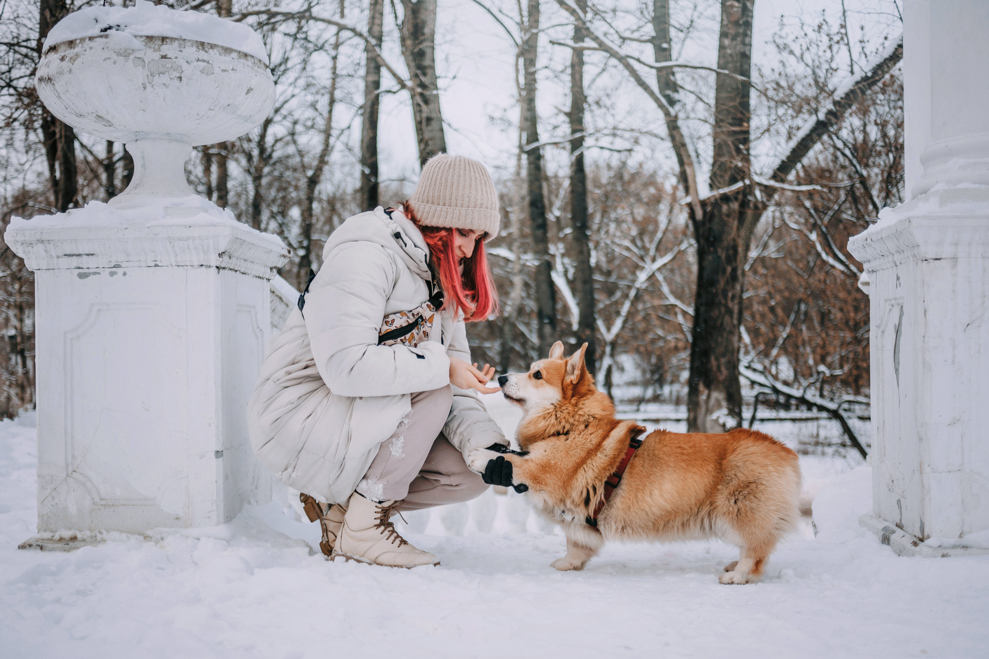 Аня и Фил. Фотограф-анималист Елена Радченко, Москва