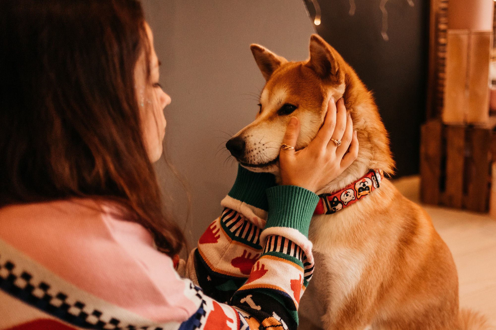 Арчи. Фотограф-анималист Елена Радченко, Москва