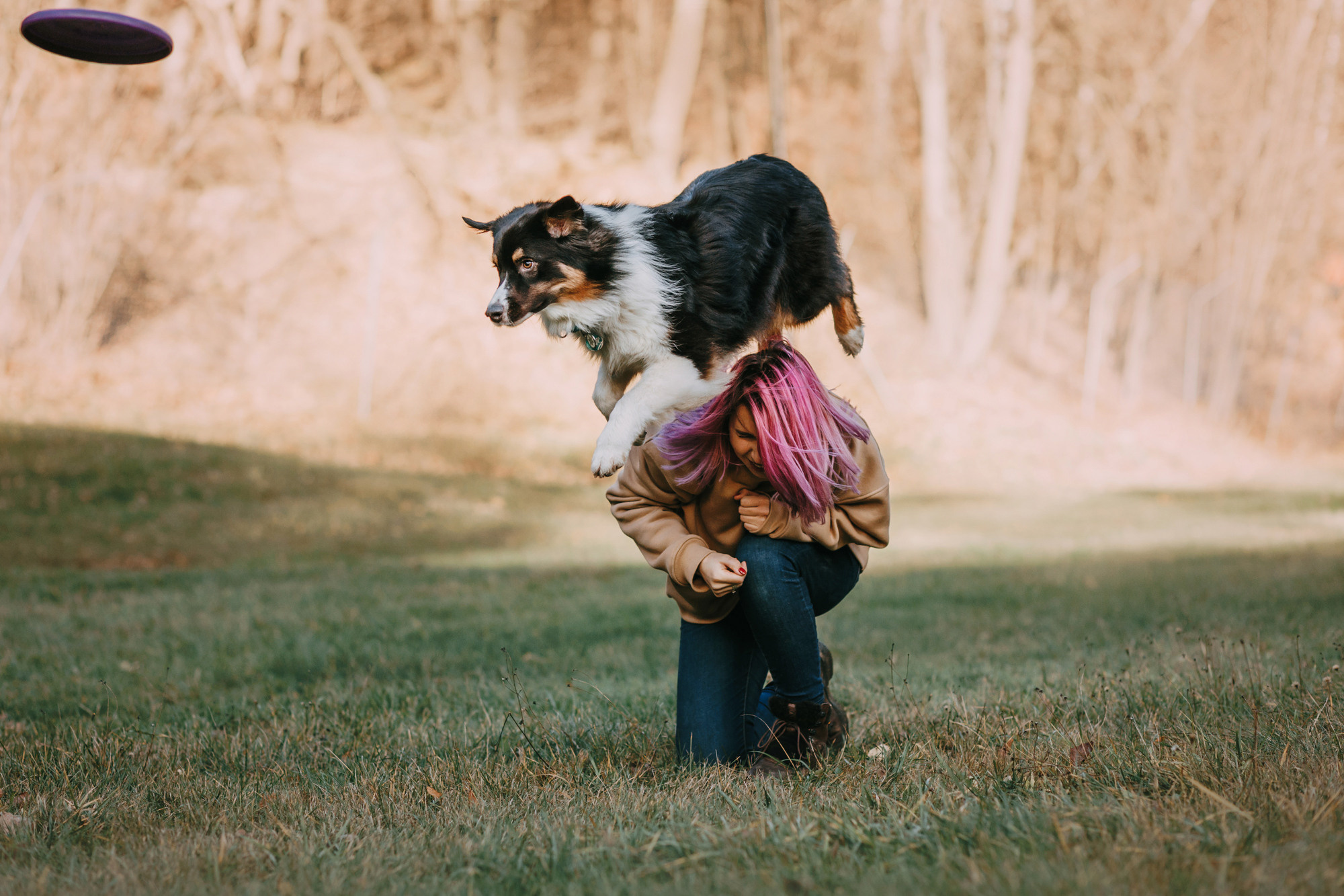 Анна, Чарли и Ева. Фотограф-анималист Елена Радченко, Москва