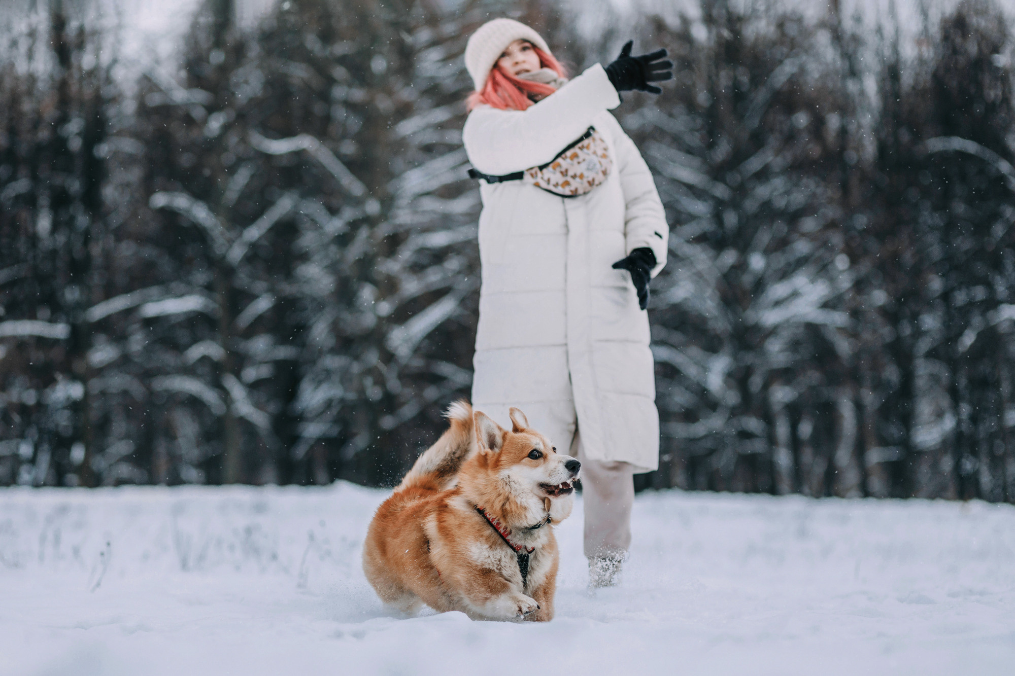 Аня и Фил. Фотограф-анималист Елена Радченко, Москва