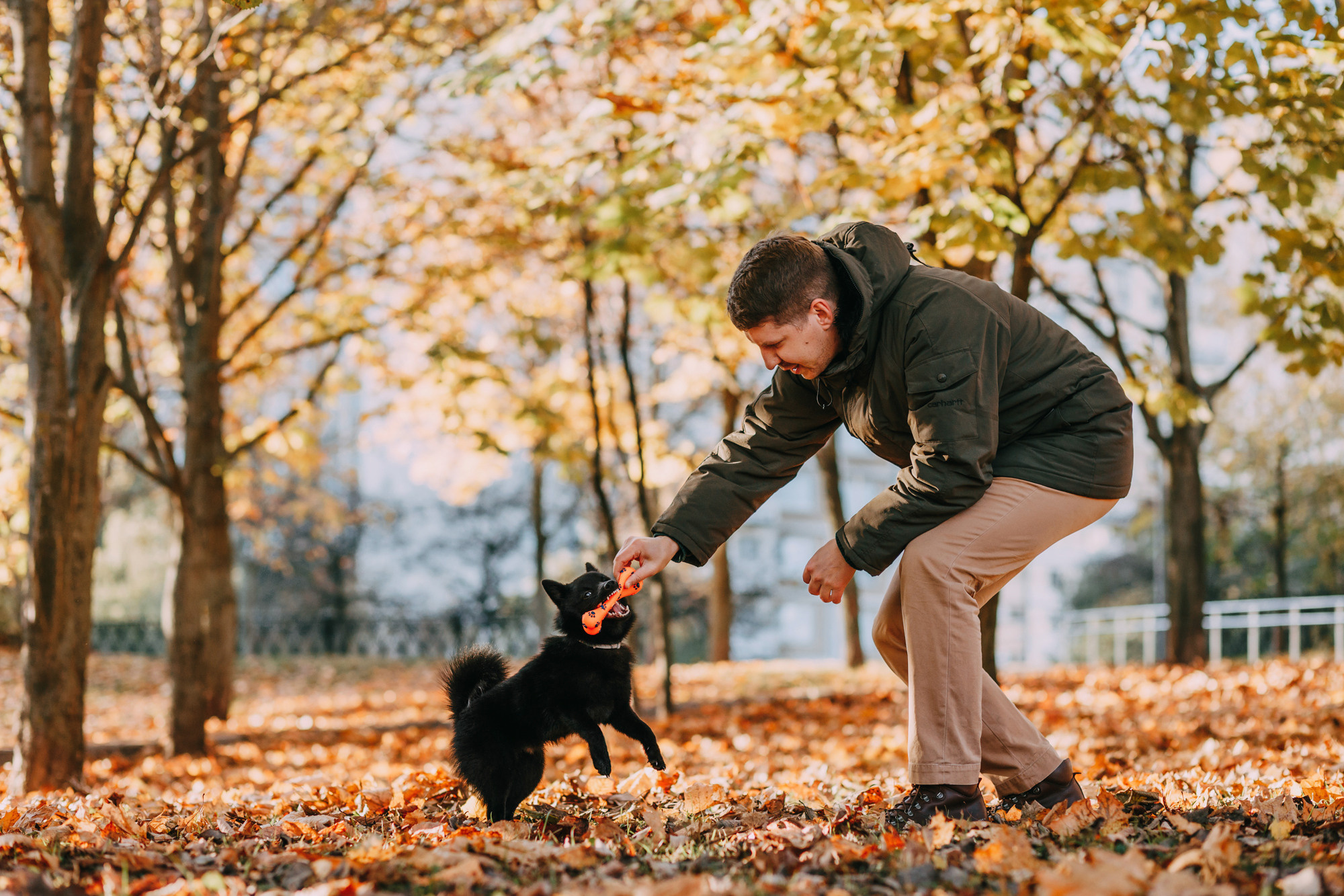 Настасья, Саша и Рокки. Фотограф-анималист Елена Радченко, Москва