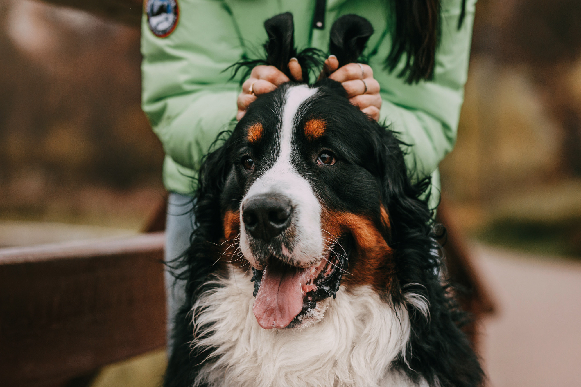 Ира и Бергамот. Фотограф-анималист Елена Радченко, Москва