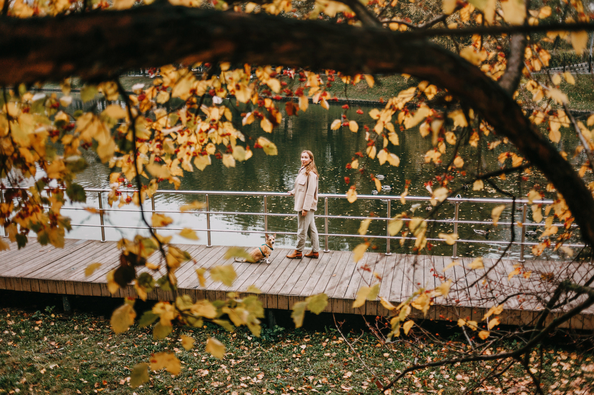 Светлана и Стюарт. Фотограф-анималист Елена Радченко, Москва