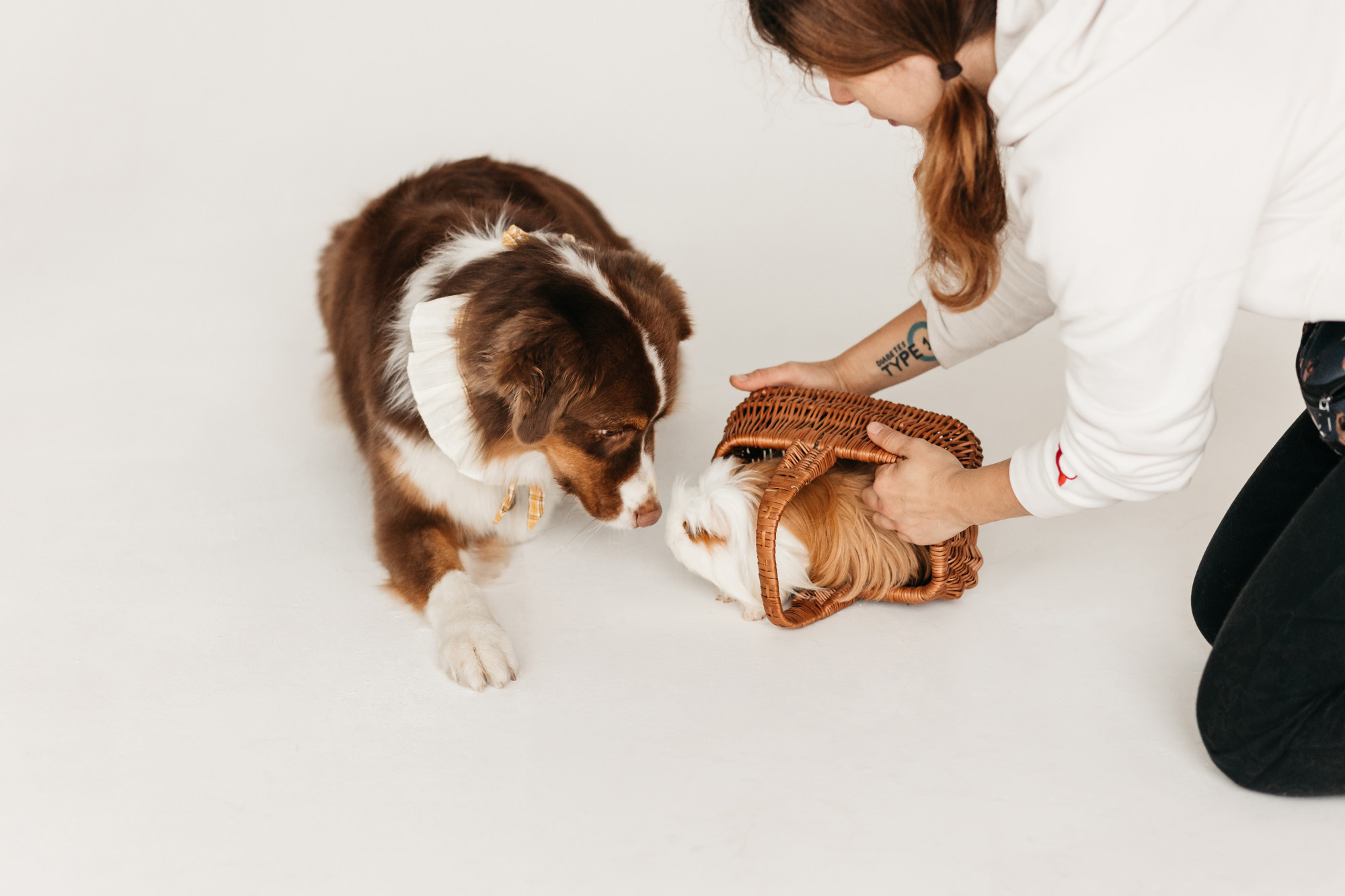 Ками и Кекс. Фотограф-анималист Елена Радченко, Москва