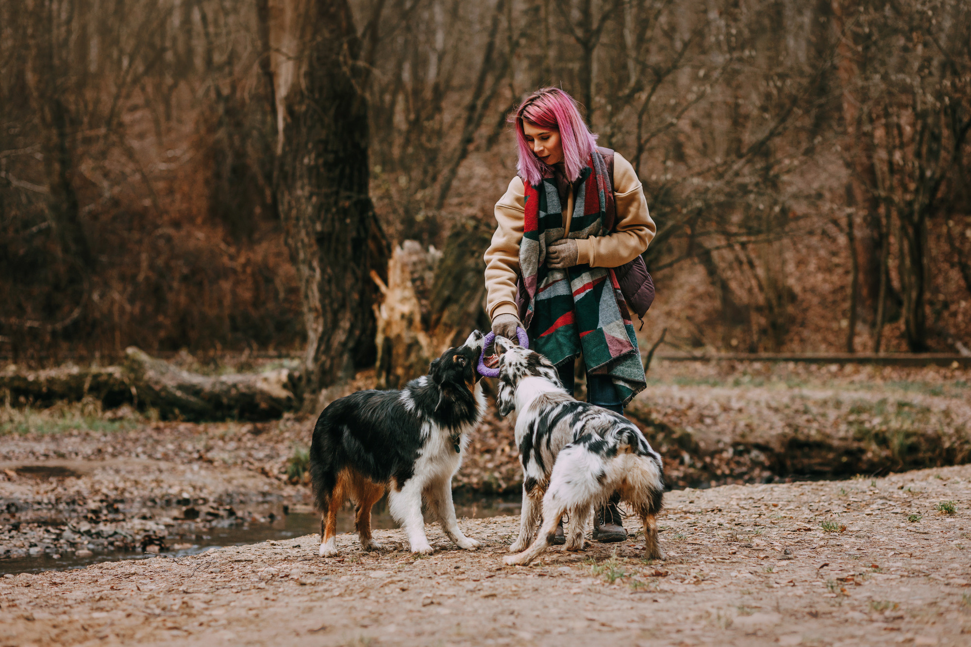 Анна, Чарли и Ева. Фотограф-анималист Елена Радченко, Москва