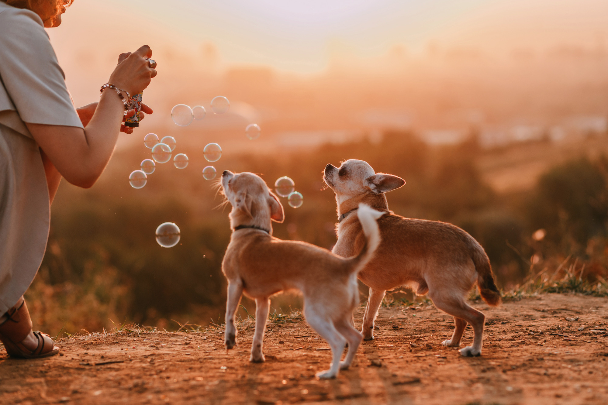 Наталья, Курт и Джуля. Фотограф-анималист Елена Радченко, Москва