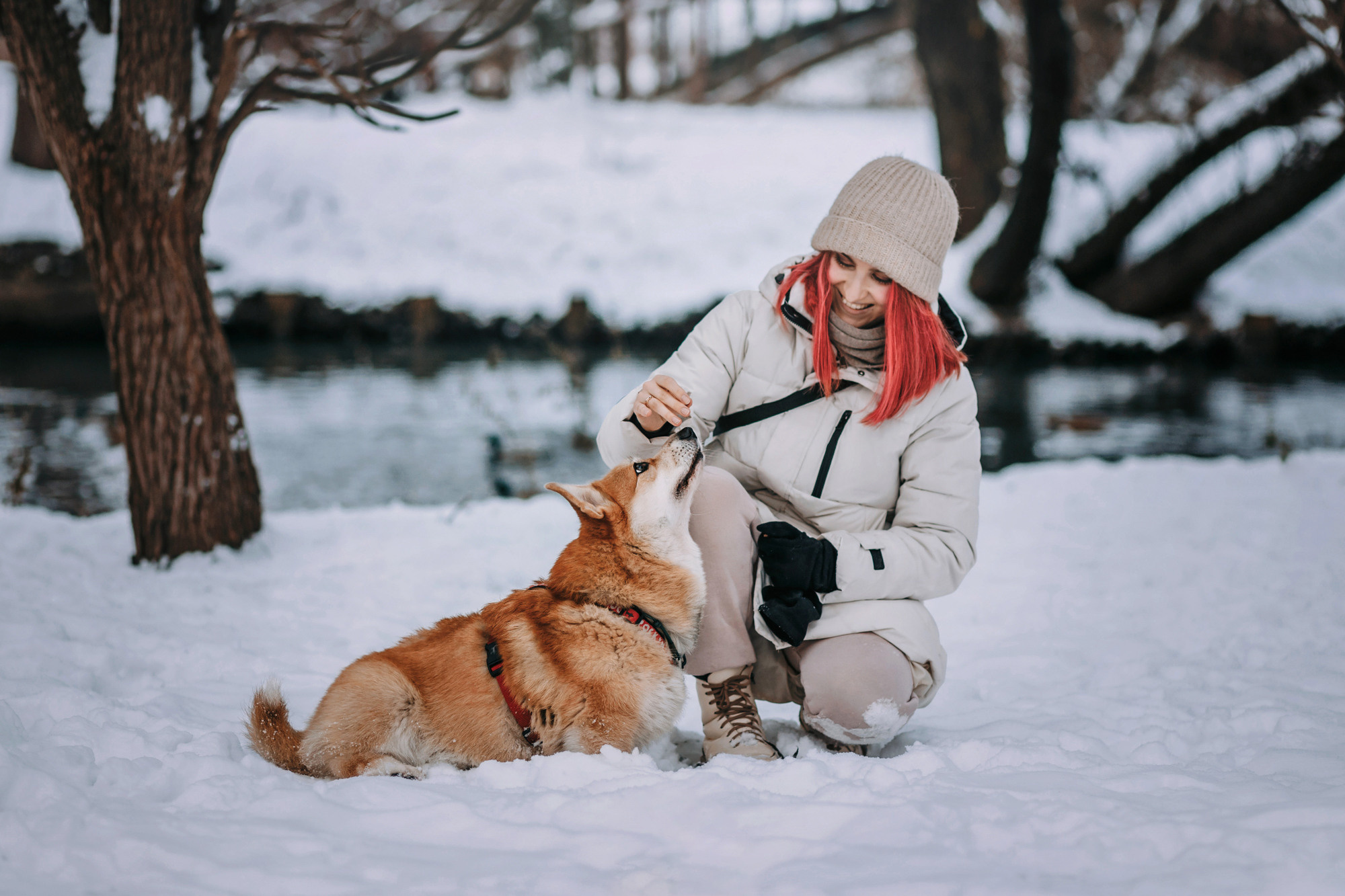 Аня и Фил. Фотограф-анималист Елена Радченко, Москва