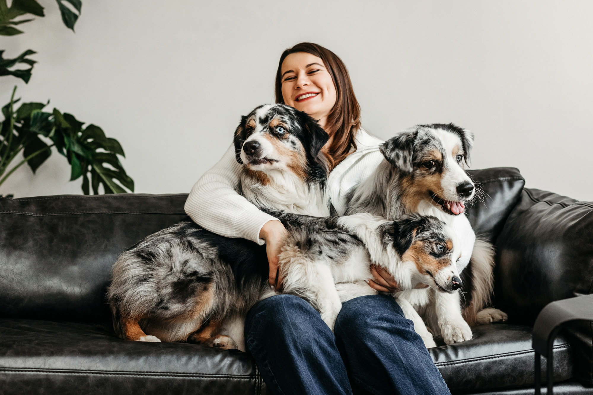 Настя и аусси. Фотограф-анималист Елена Радченко, Москва