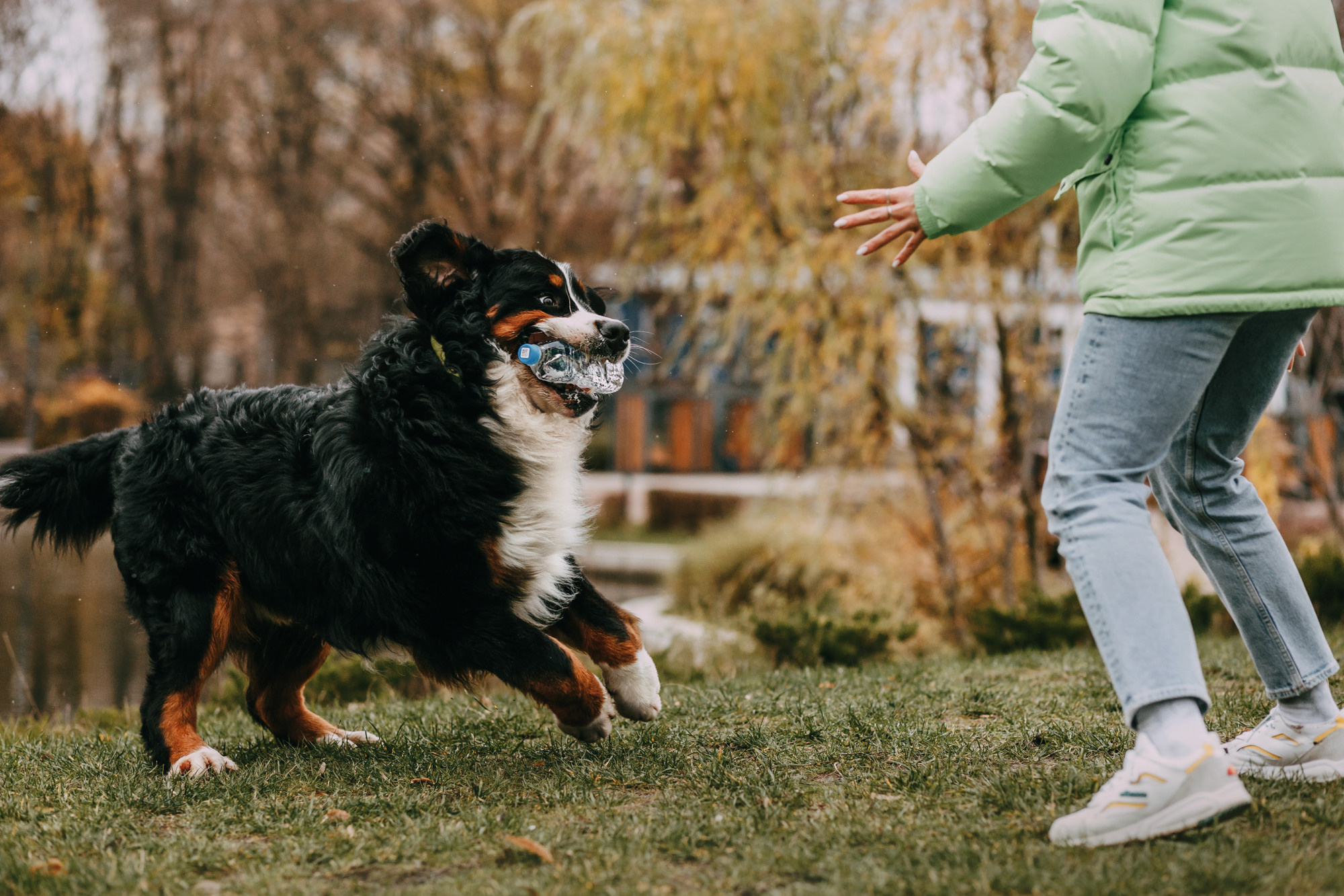 Ира и Бергамот. Фотограф-анималист Елена Радченко, Москва